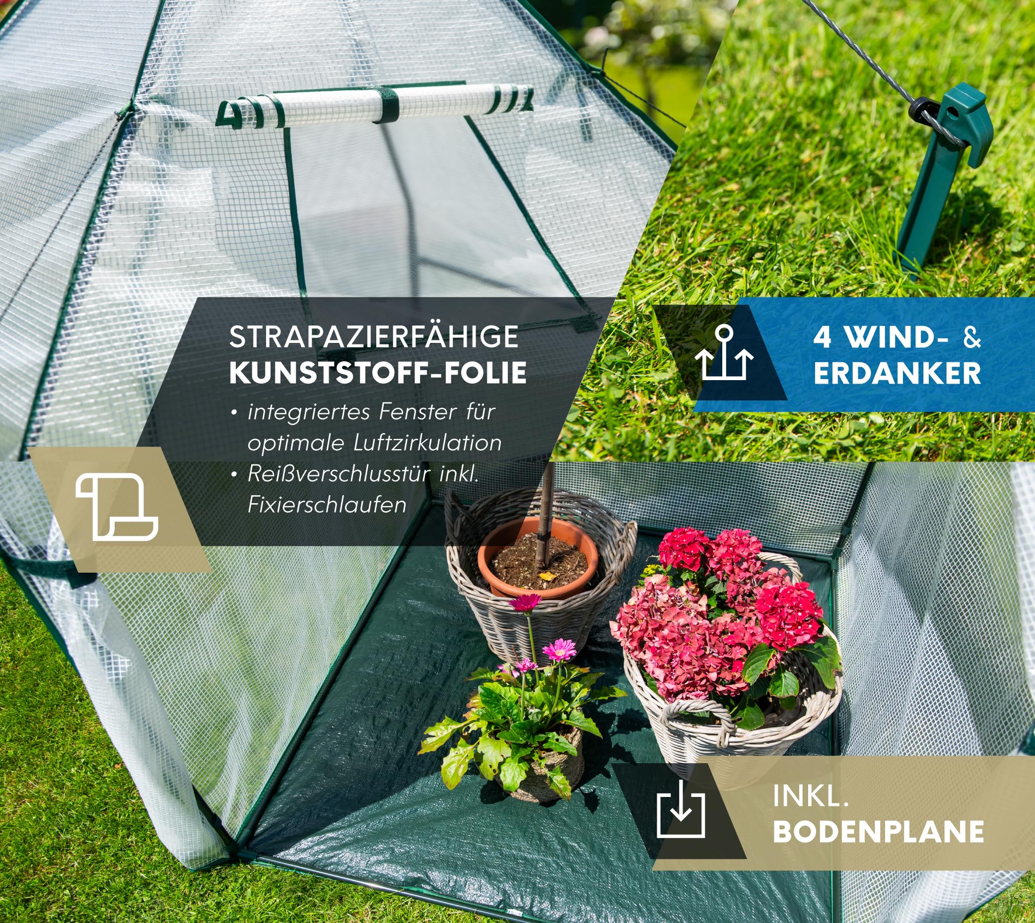 WESTMANN Piment Tente d'hivernage | 120 x 120 x 180 cm Blanc | Protection des plantes & serre en film pour l'hivernage des plantes