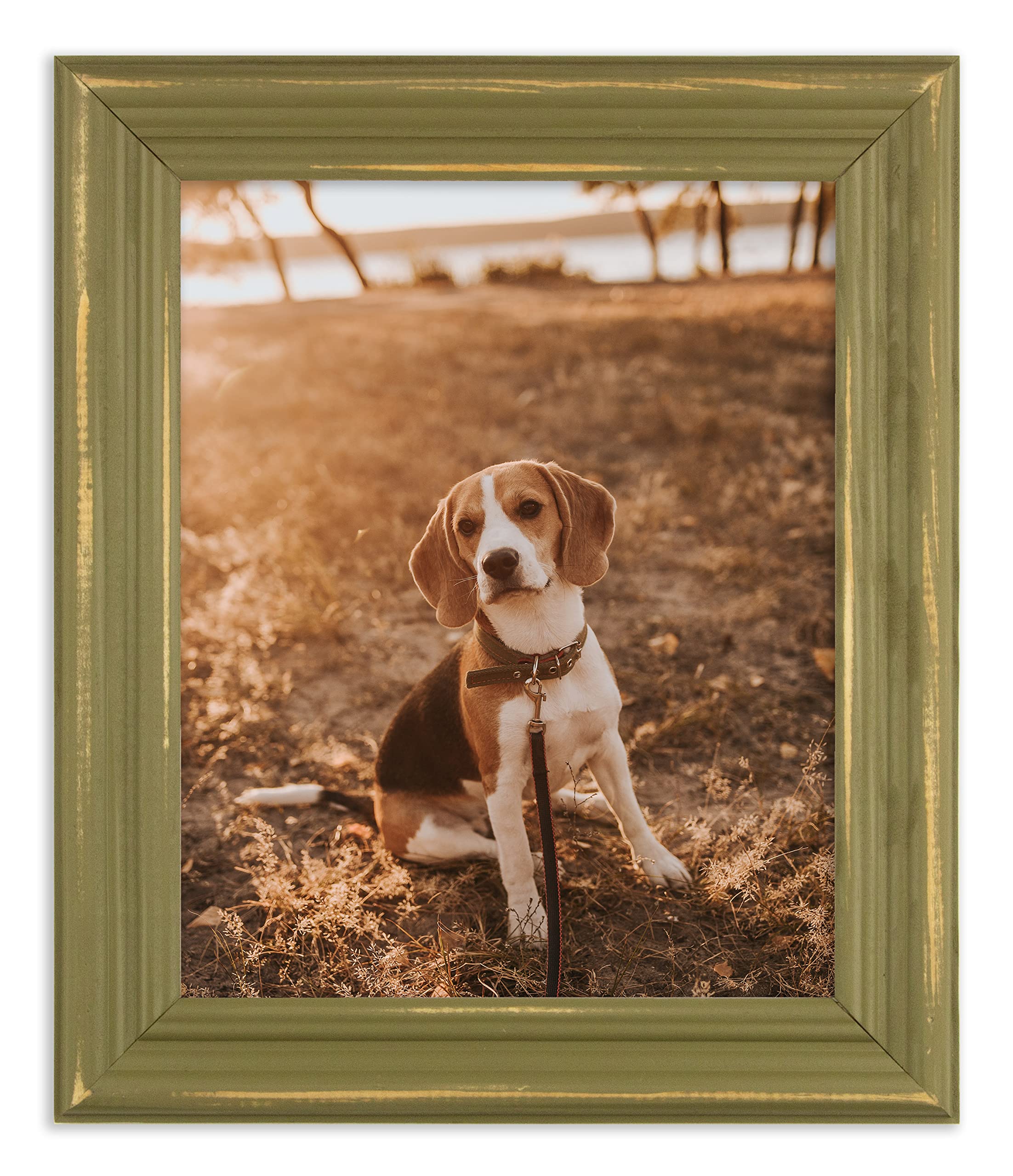 Amazon.co.jp: The Rusty Roof-アンティーク調Lucy Oregano-無垢材写真