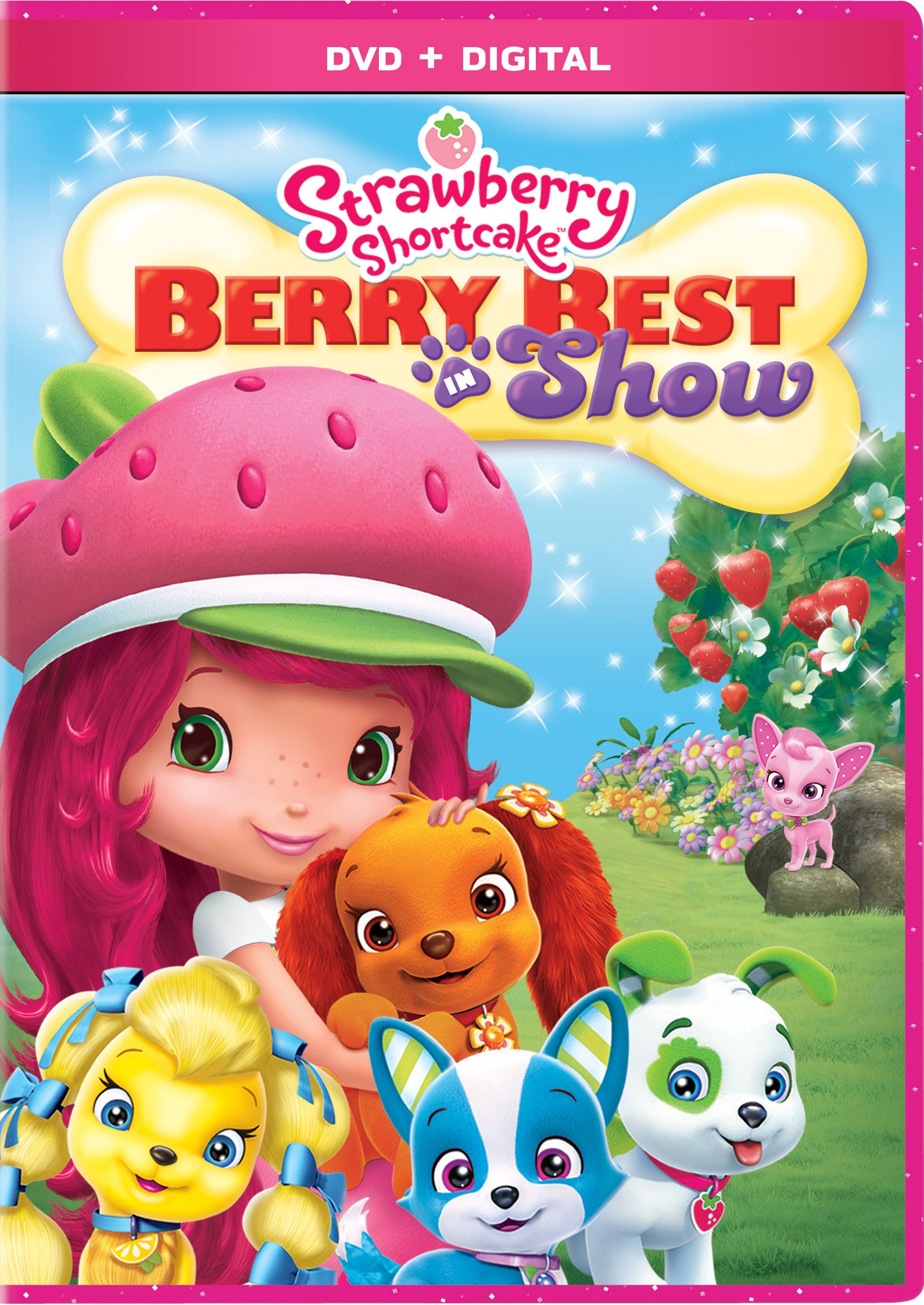 STRAWBERRY SHORTCAKE: BERRY BEST IN SHOW [DVD]