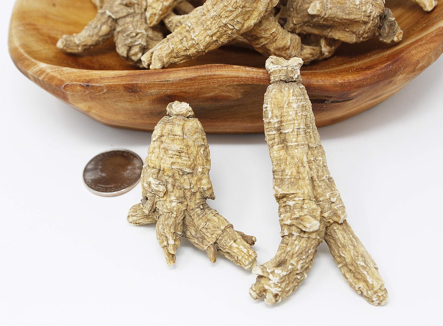 DOL Hand-Selected American Wisconsin Farmed Ginseng Root 美国威斯康辛州 长枝西洋参 花旗参 | Cultivated Wisconsin American Ginseng Large 4oz/Box