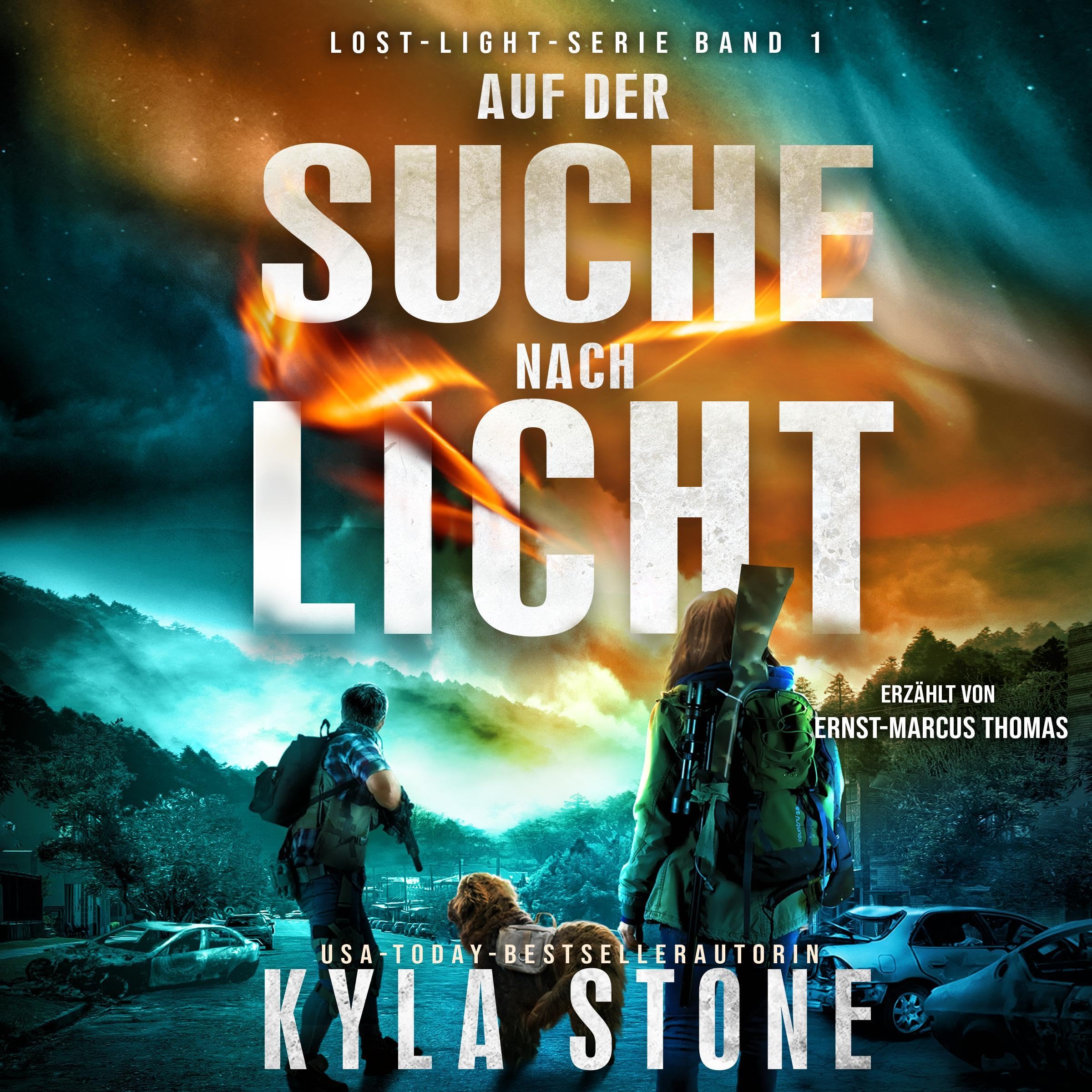 Cover art for Auf der Suche nach Licht [The Light We Lost]
