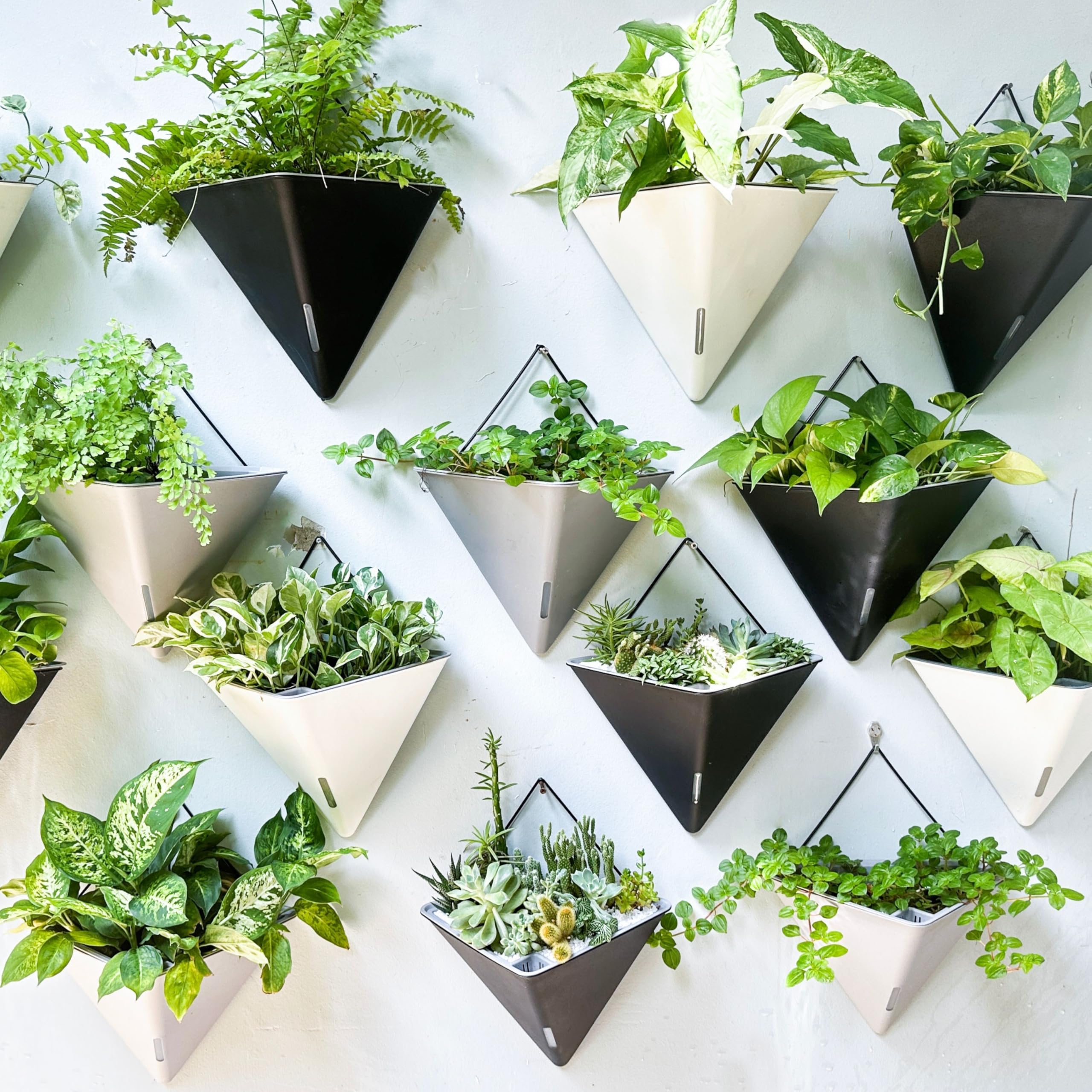 LaLaGreen - Fioriera da parete per interni (30,5 cm, 4 pezzi) grandi piante autoirriganti | Vaso da fiori geometrico nero da appendere con gancio in metallo, moderno ed elegante supporto da parete per piante grasse