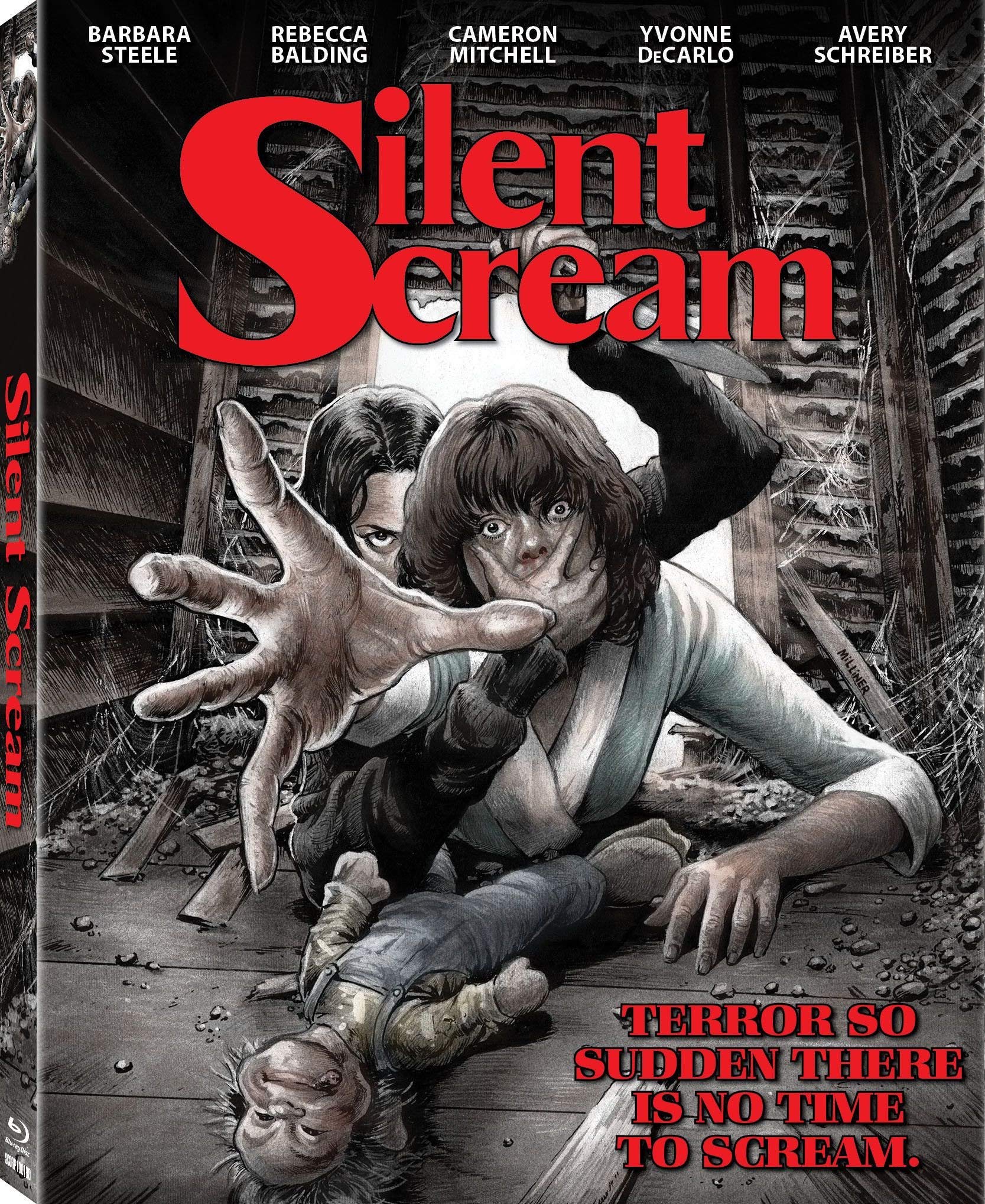 Silent Scream (Blu-ray)-image-29