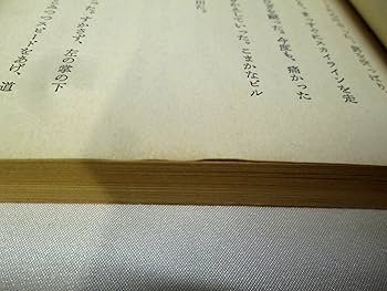 洋書 AKIDAYO Amazon.com: His Motorcycle, Her Island [Japanese Edition