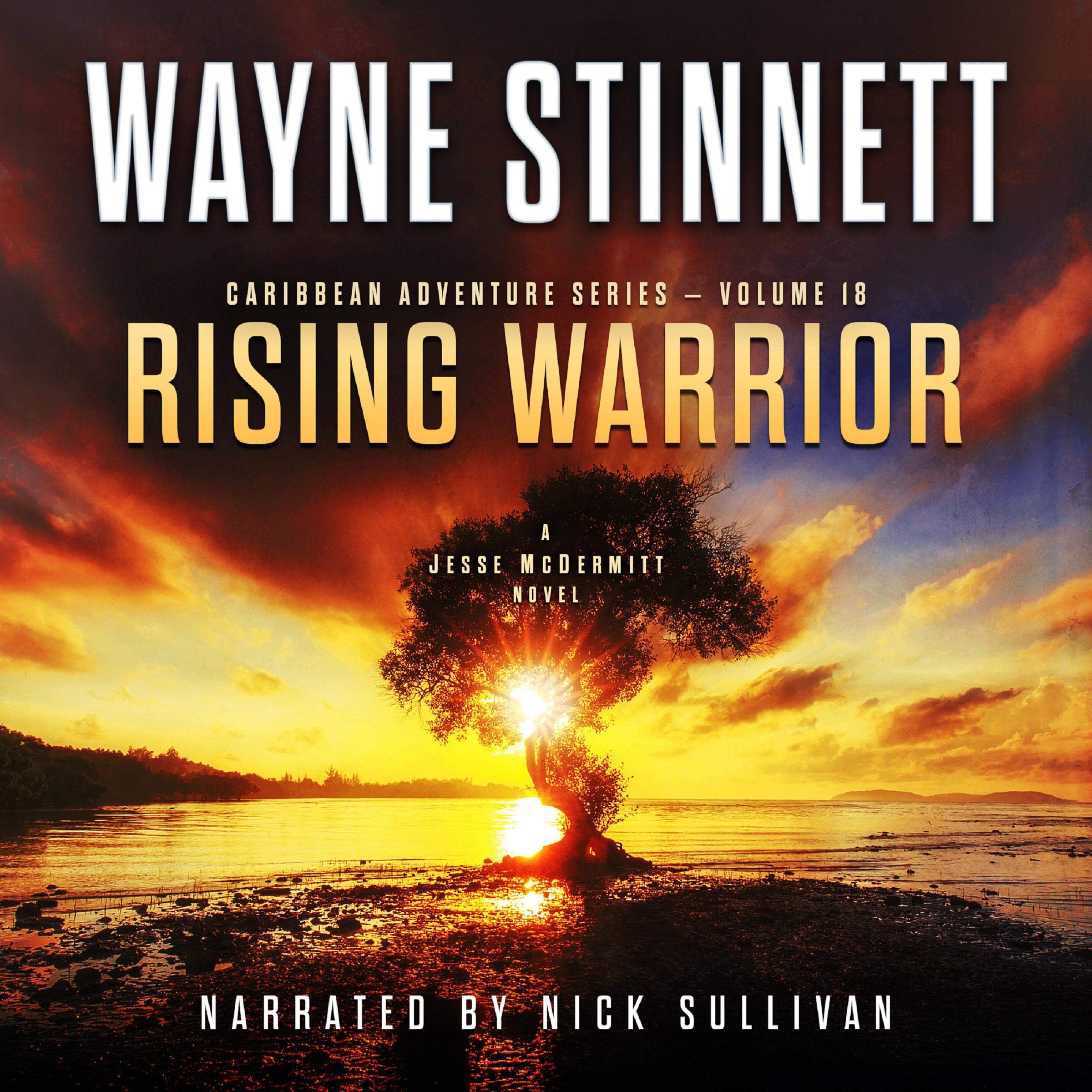 Cover art for Rising Warrior (A Jesse McDermitt Novel)