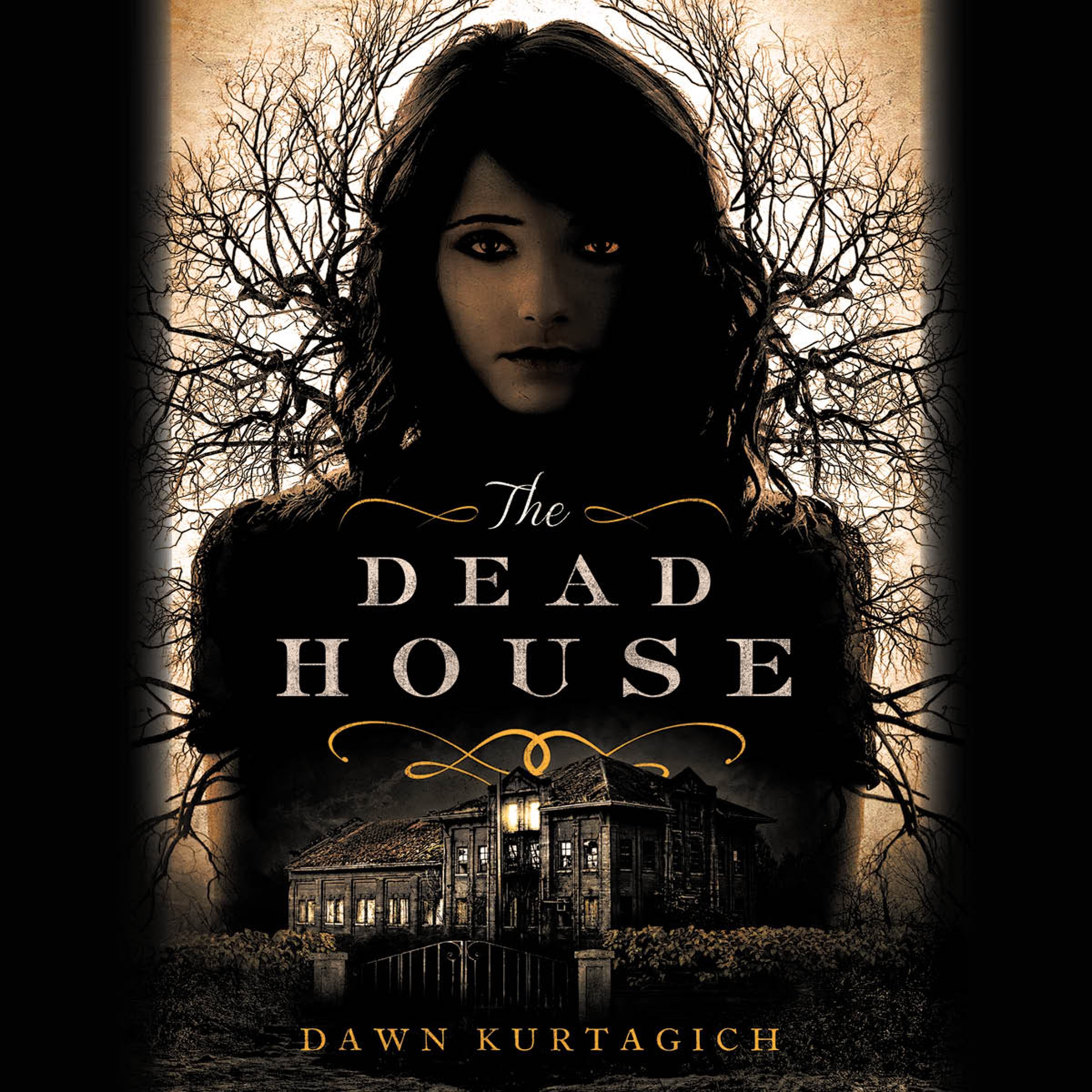 Cover art for The Dead House