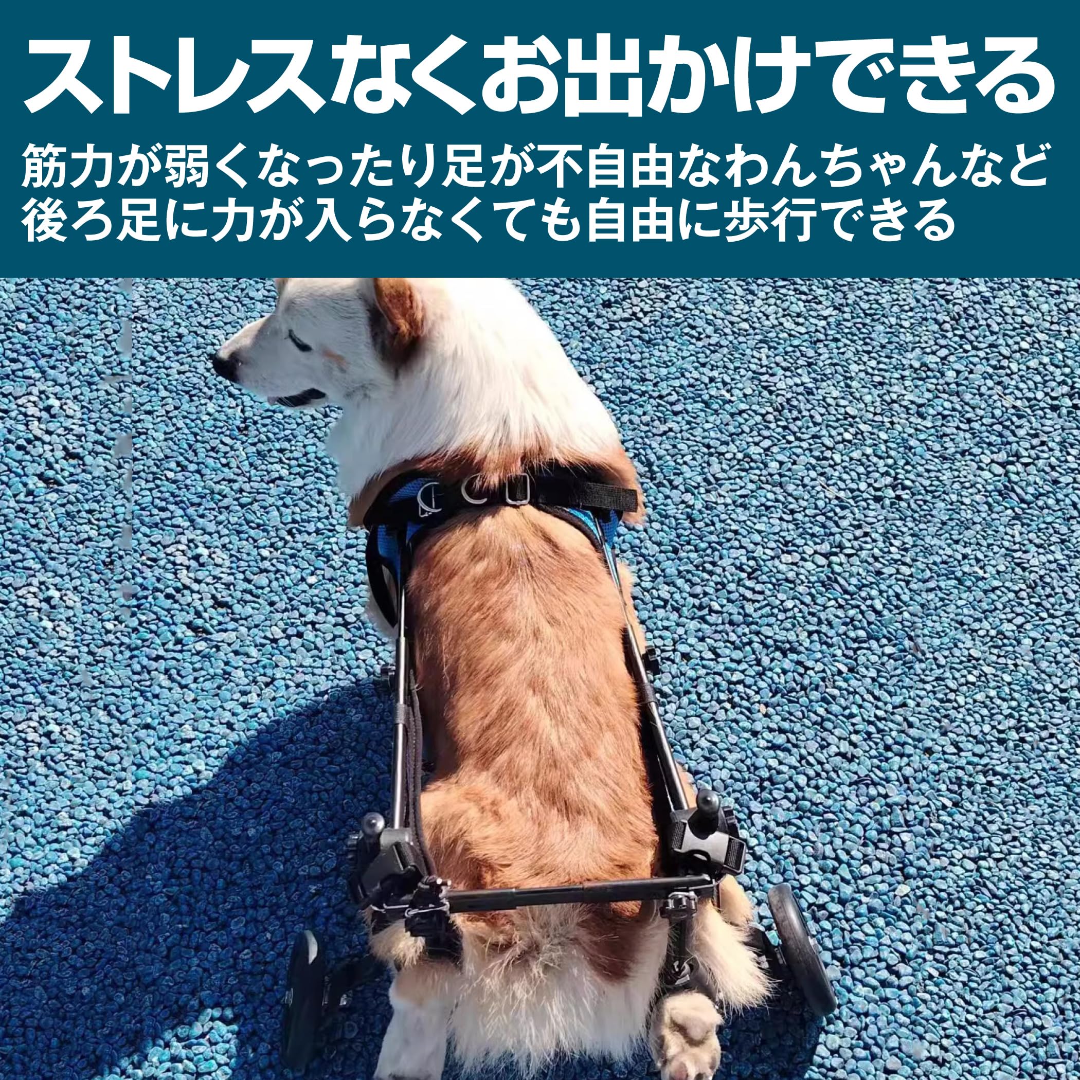 Amazon | EdisonBrain 犬の歩行器 犬用車椅子 ペット 散歩 サポート