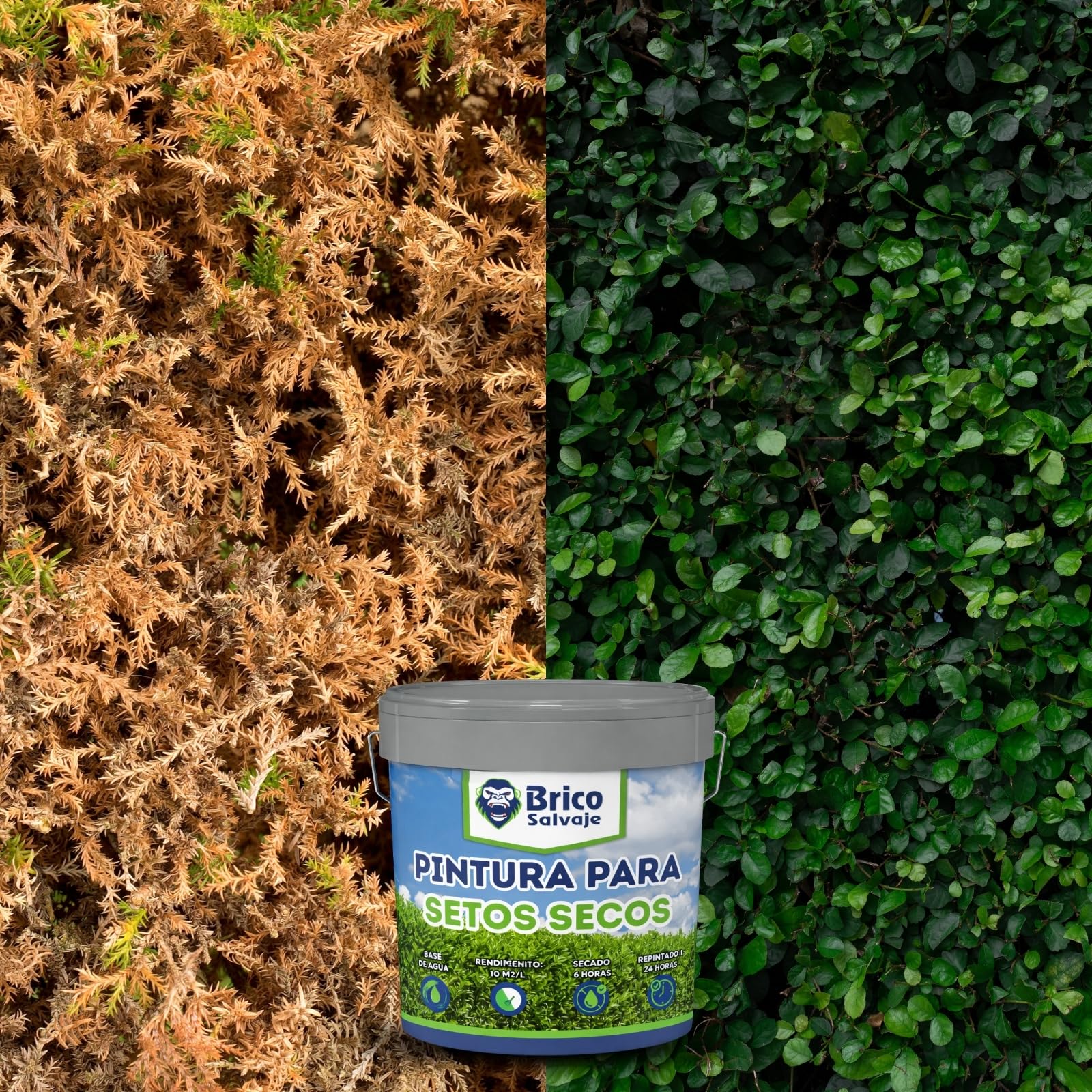 Vernice per siepi essiccate, facile applicazione, 100% ecologica, impermeabile, alta copertura (4 litri)