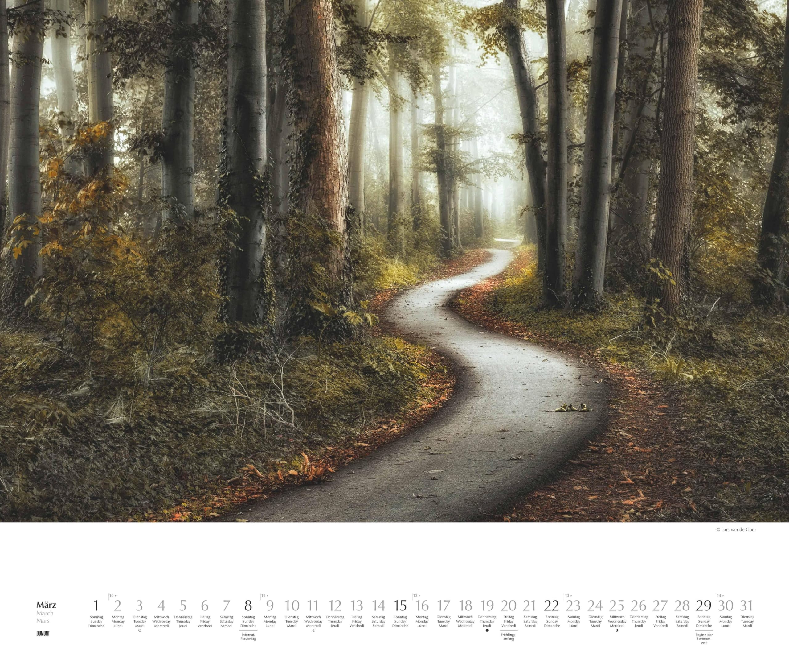 DUMONT - Waldspaziergang 2026 – Fotokunst-Kalender Querformat 60 x 50 cm – Naturfotografie von Lars van de Goor für Wald- & Naturfreunde: A walk in the Woods Promenade en foret
