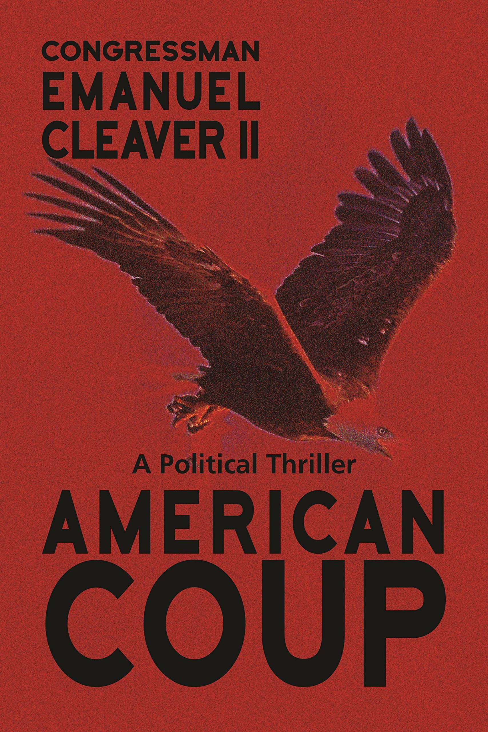 Buy American Coup: A Political Thriller — BookShops.in
