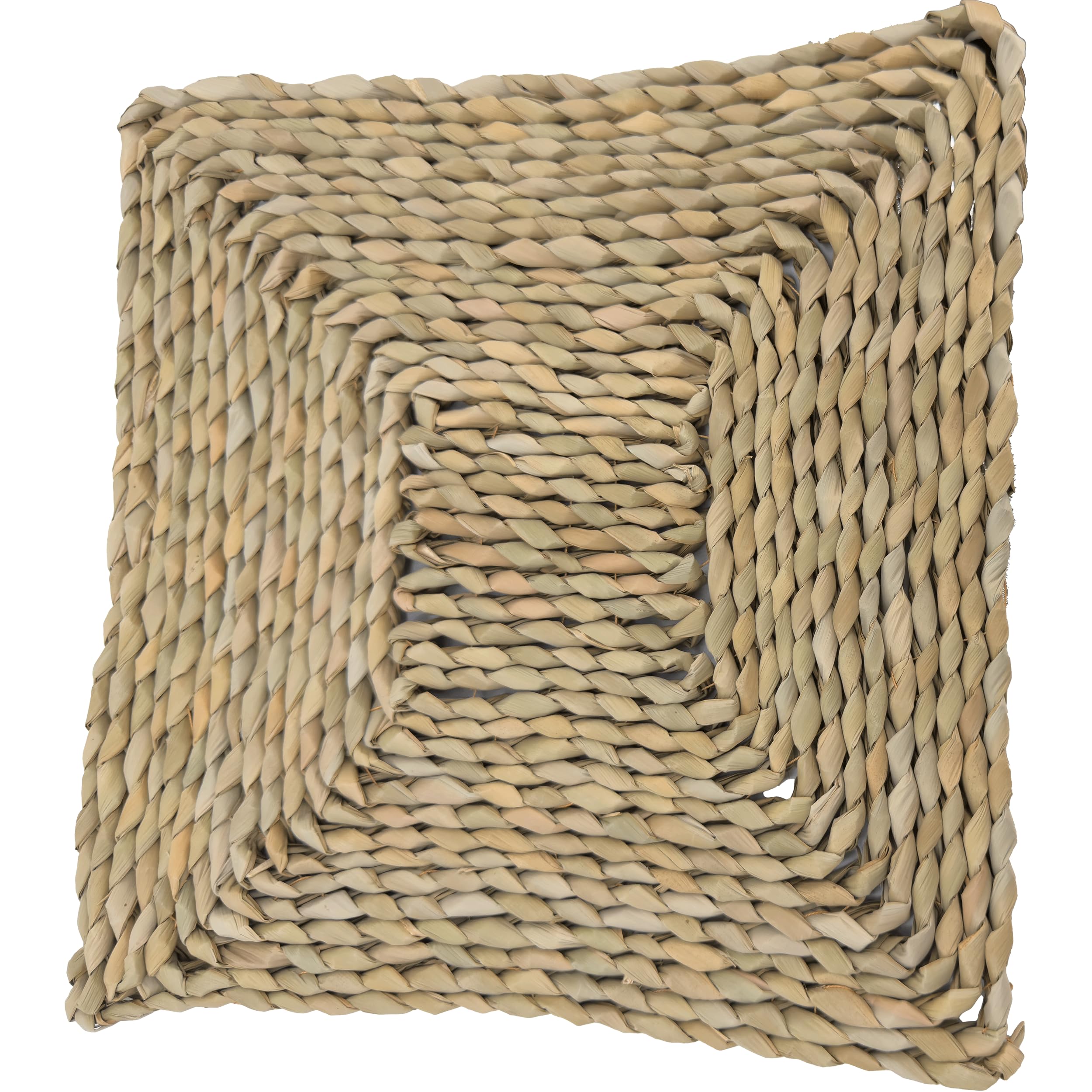 5802 Thick Seagrass Shred Mat 12 Inch – Natural Foraging Bird Toy for Macaws, Amazons, African Greys – 1 Inch Thick Chew Mat for Birds That Shred – Cage Accessory for Medium and Large Parrots USA