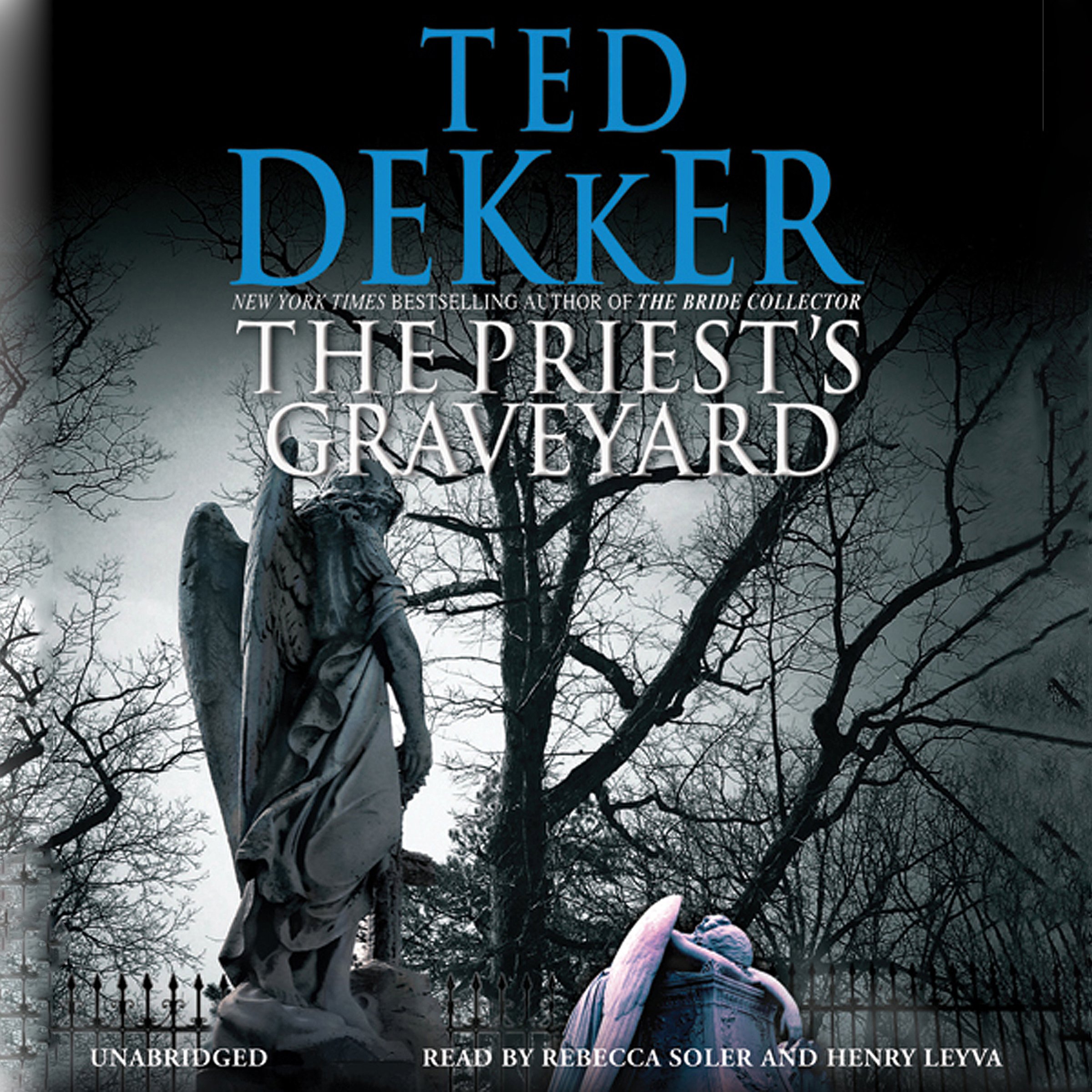 Cover art for The Priest's Graveyard