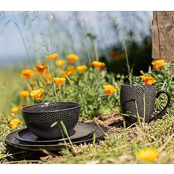 BIA Cordon Bleu レトロプレート 20cm 4枚セット BIA Cordon Bleu