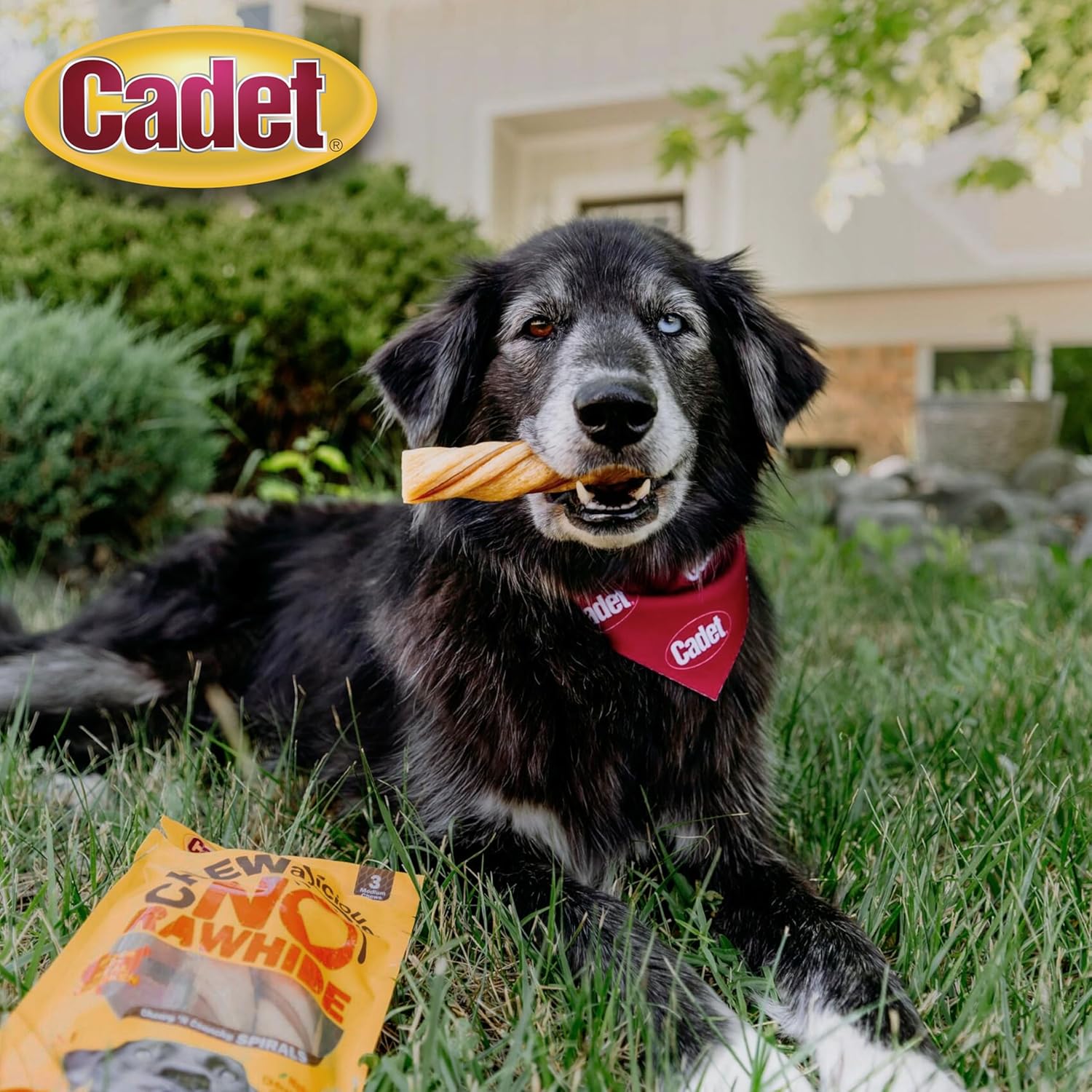 Cadet Chewalicious Chewy 'N Crunchy Spiral Dog Treats, Limited Ingredient, Rawhide-Free, Long-Lasting Chews for Dogs Made with Real Chicken, 3 Count, Pack of 4