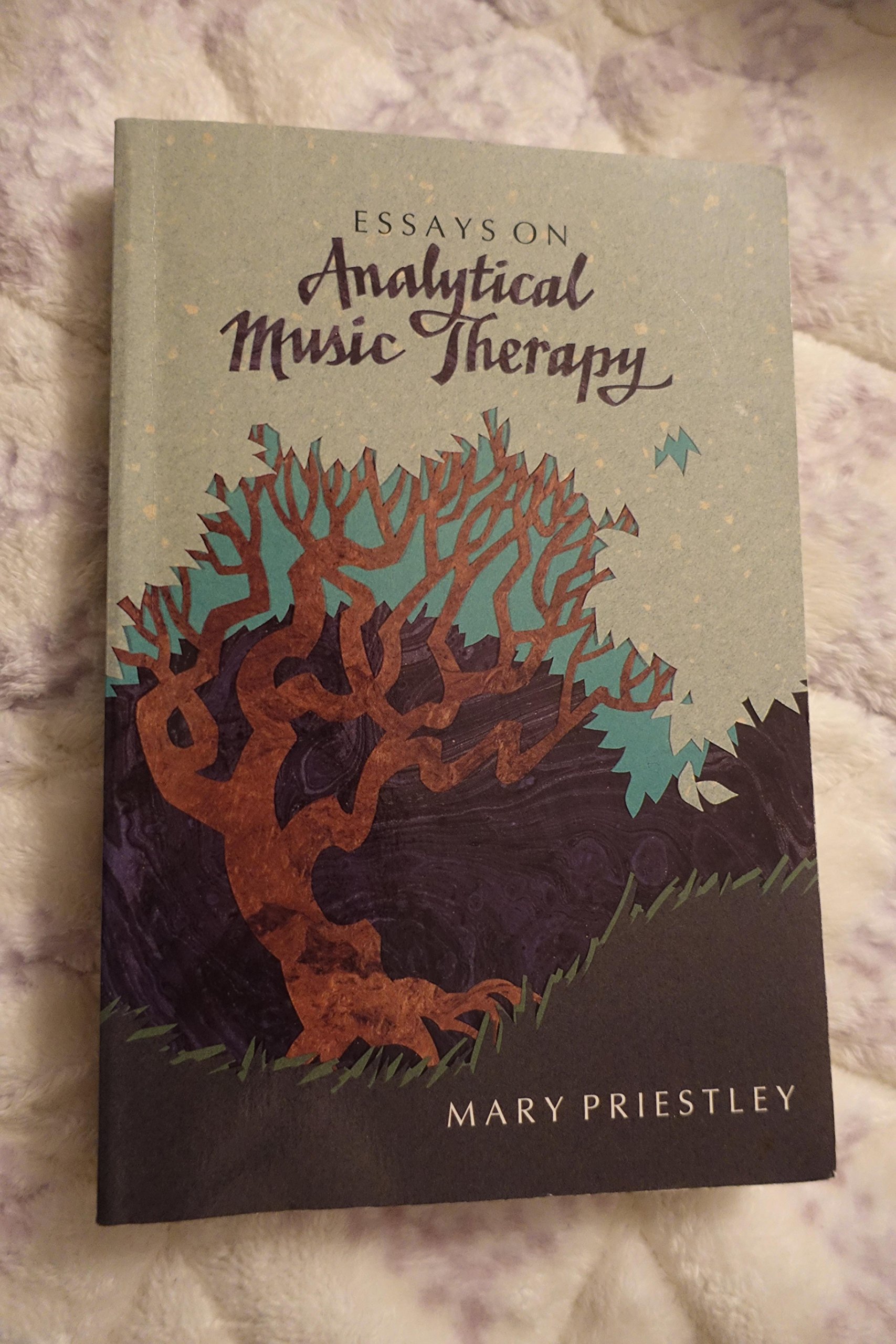 Essays on Analytical Music Therapy