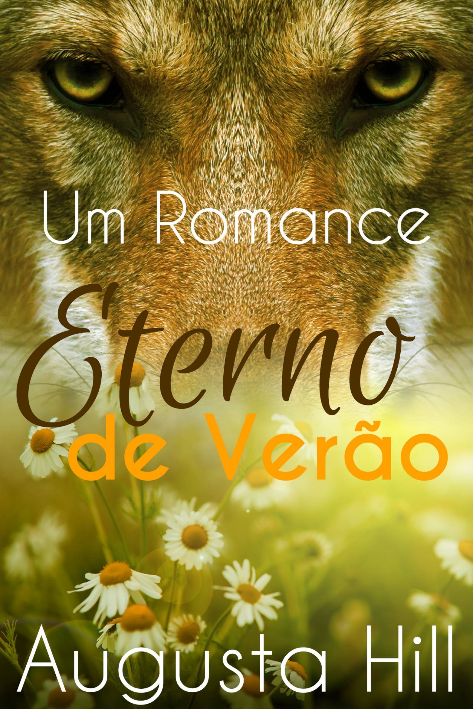 Um Romance Eterno de Verão (Portuguese Edition)
