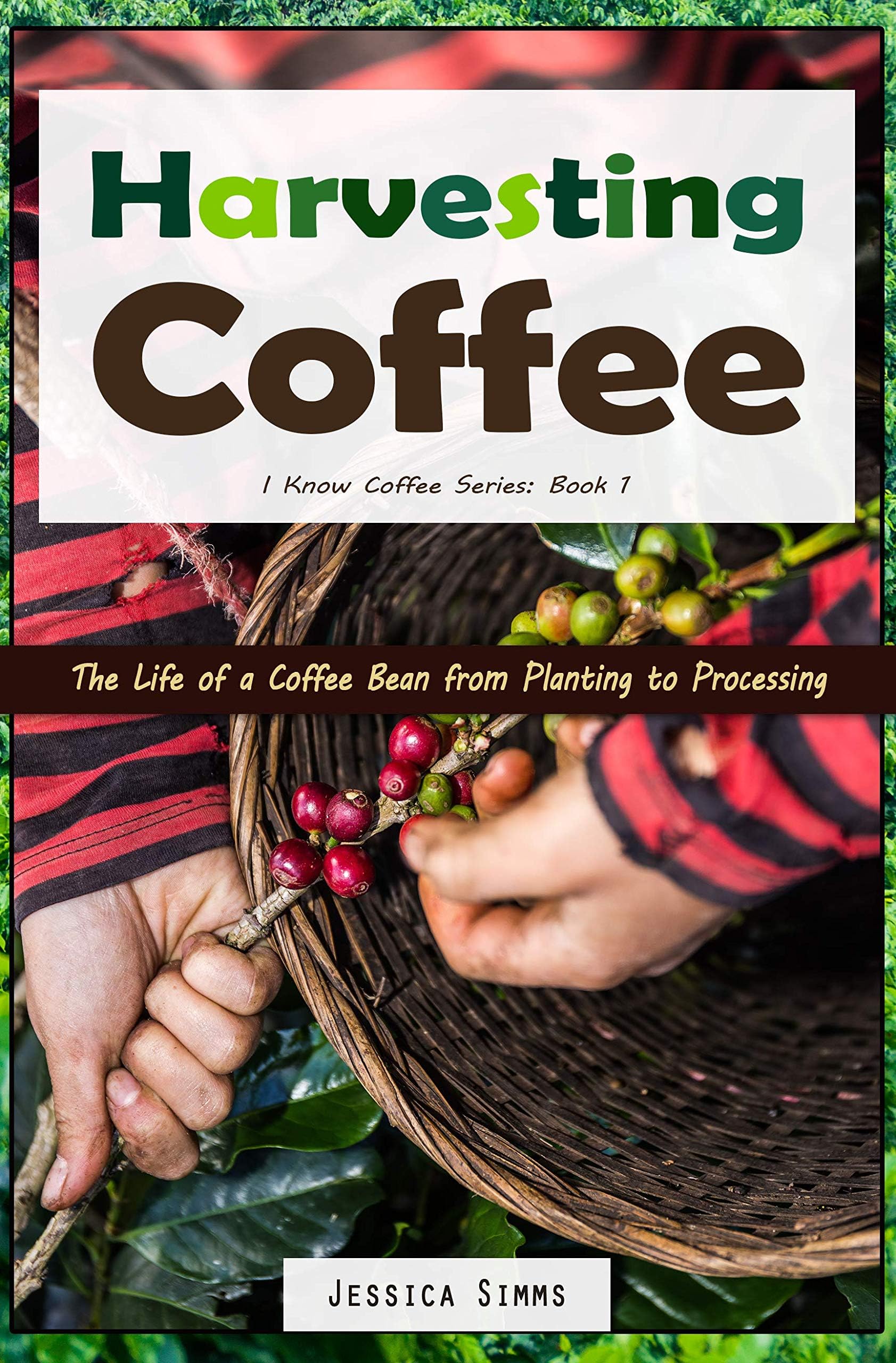 Harvesting Coffee: The Life of a Coffee Bean from Planting to Processing (I Know Coffee Book 1)