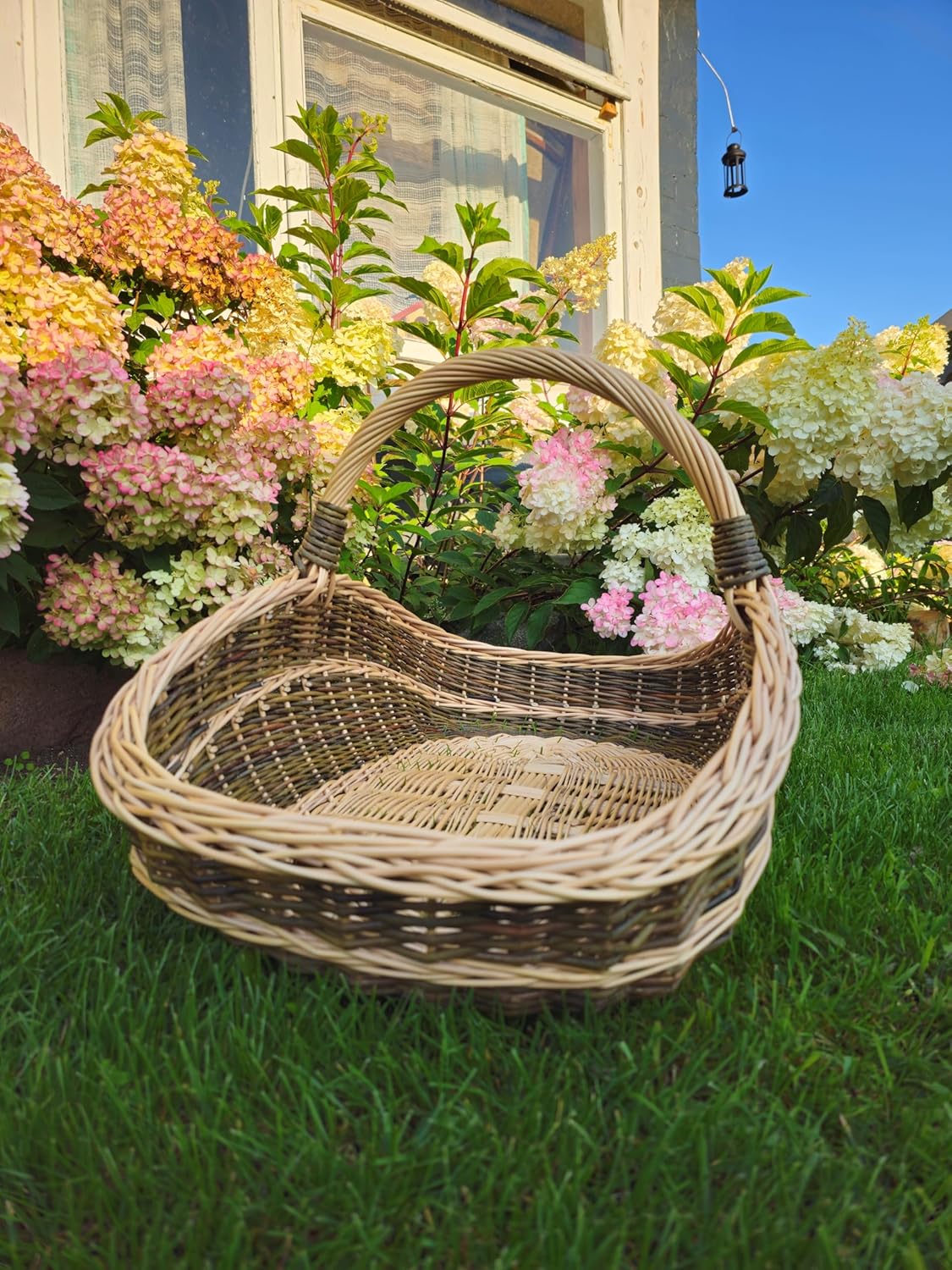 Extra-Large Rustic Willow Trug – Handwoven Two-Tone Harvest Carrier with Handle – 70 x 42 x 36 cm (27.6 x 16.5 x 14.2 in) – Natural Wicker Gathering Basket (#1)