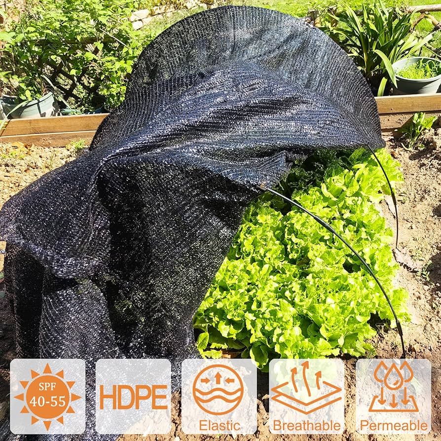 40% Black 6.5'x10' Sun Mesh Shade Sunblock Shade UV