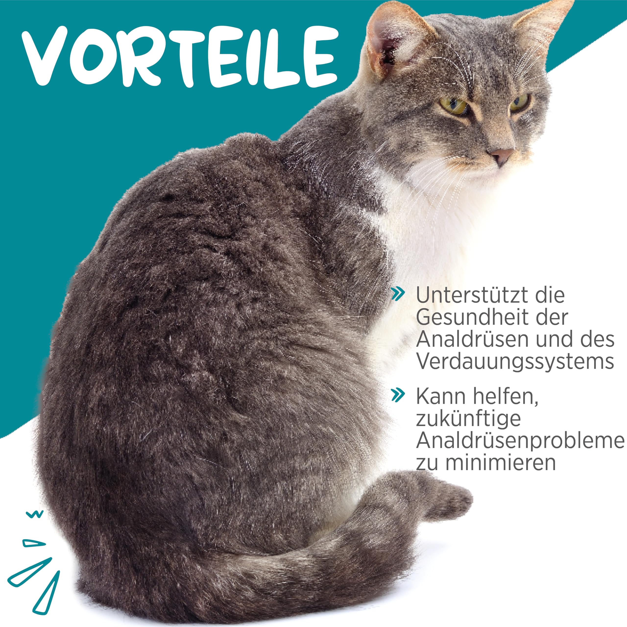 maxxipaws maxxiscoot Analdrüse & Darmgesundheit für Katzen - Nahrungsergänzungsmittel in Pulverform, 90g