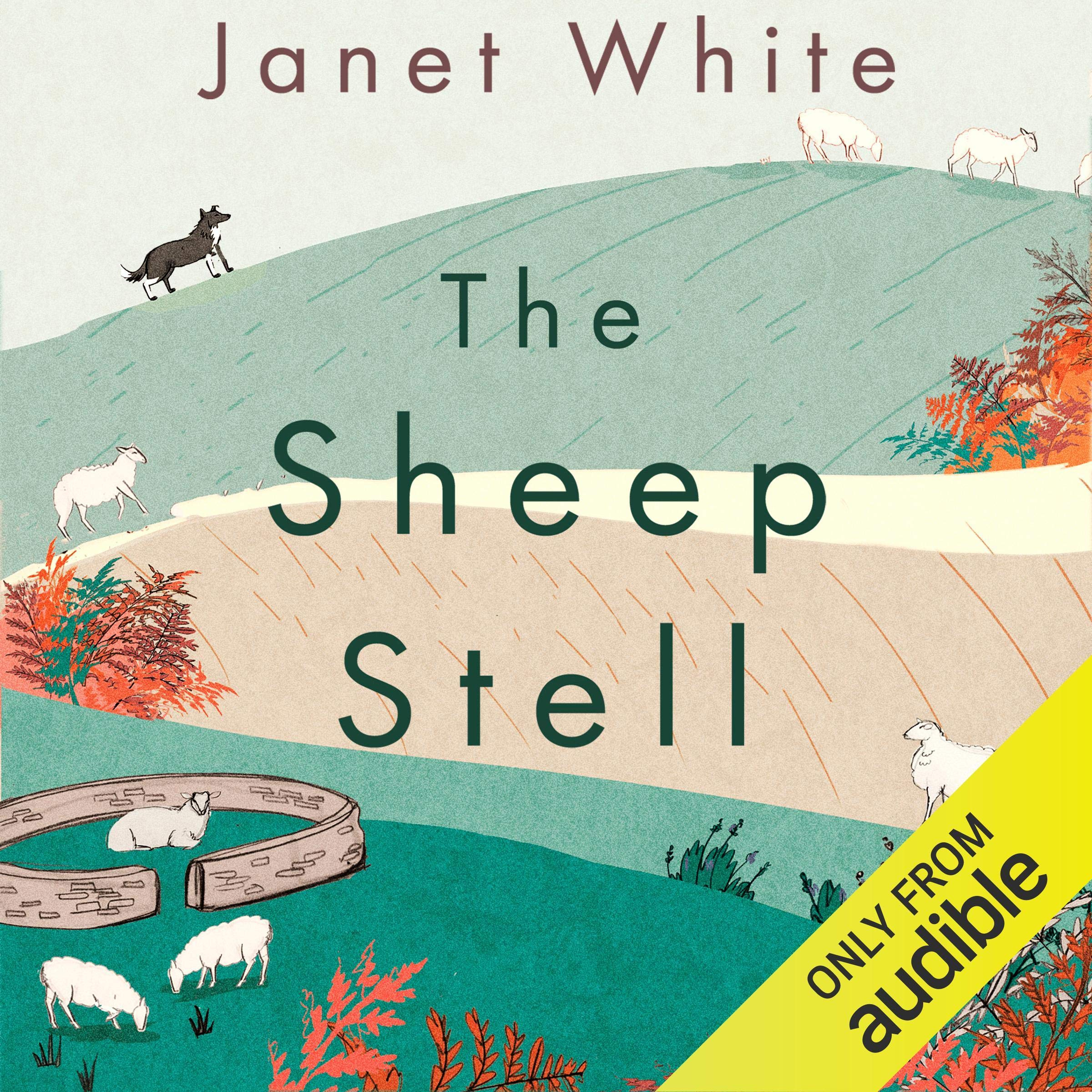 Cover art for The Sheep Stell
