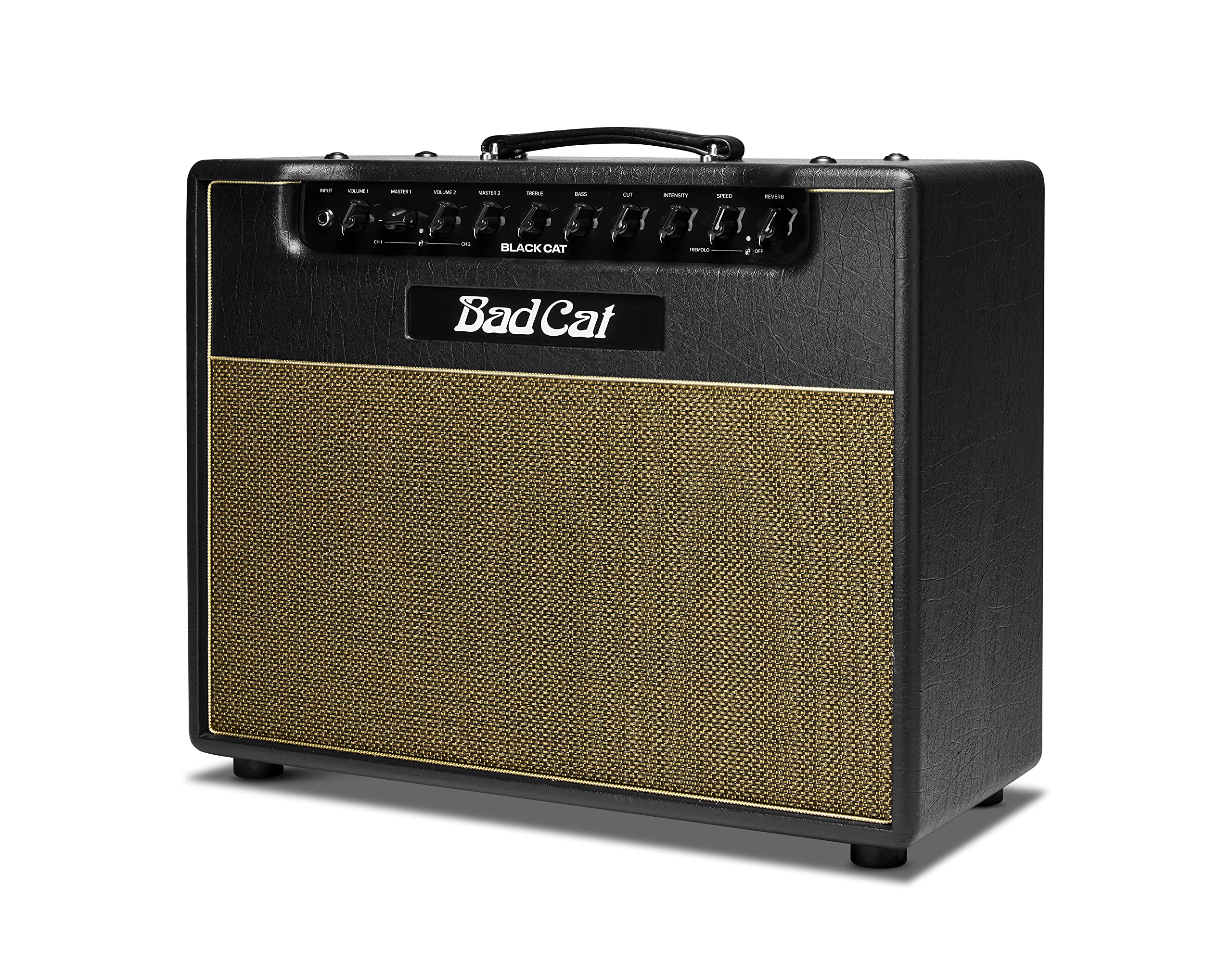 ギター cat s-l1200.jpg