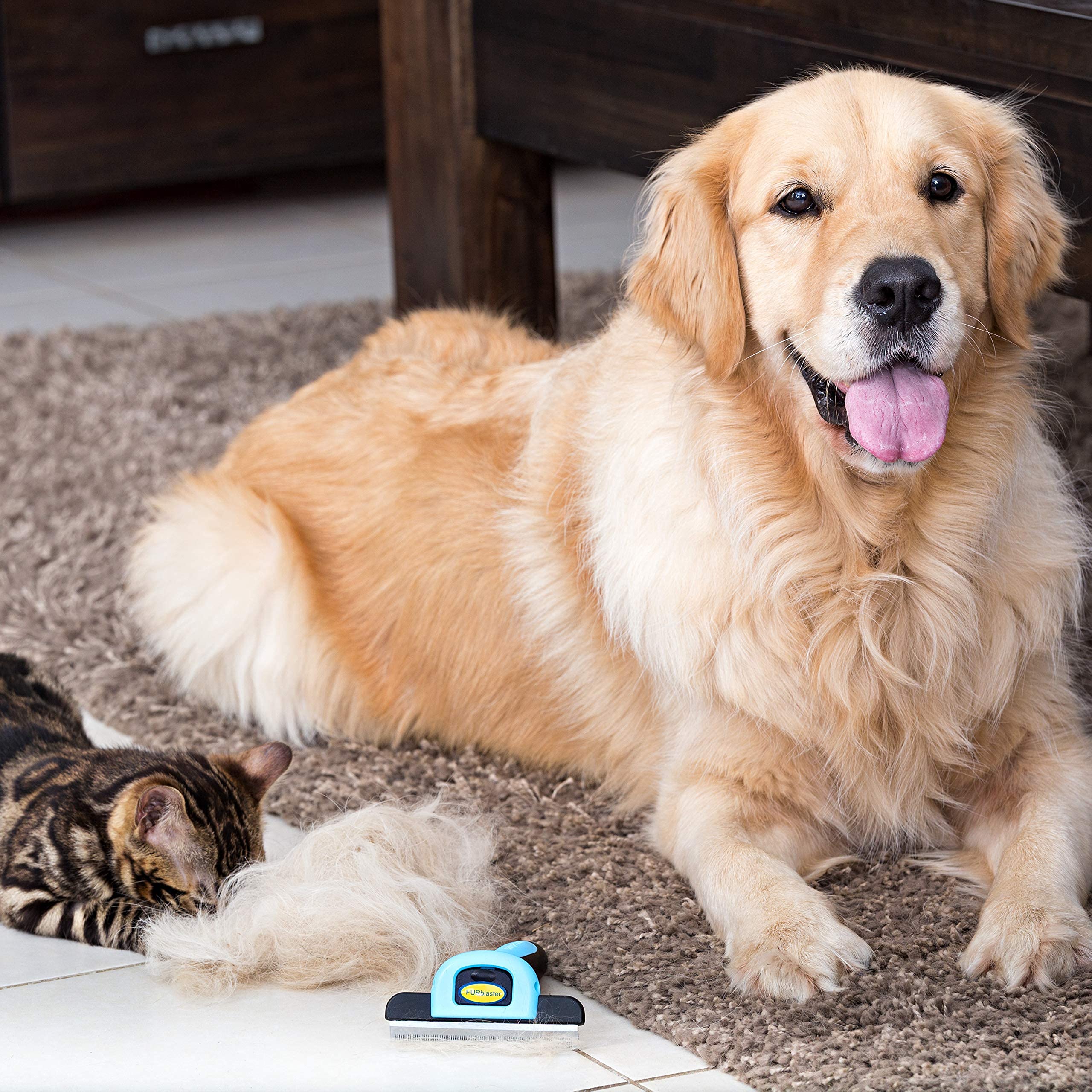 DakPets Outil de toilettage d'animaux de compagnie et Brosse de toilettage pour animaux de compagnie Peigne pour Chiens et Chats