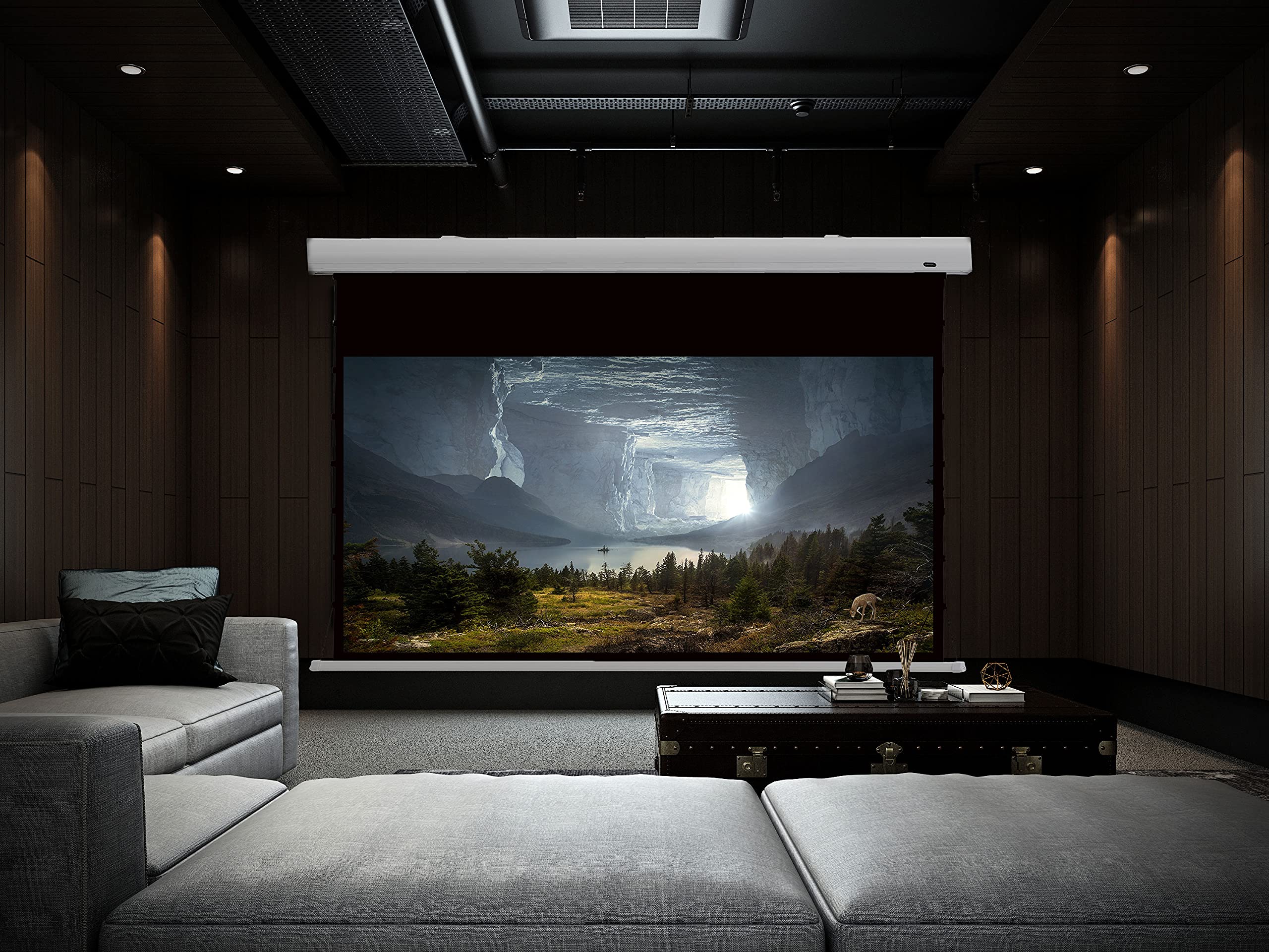 Celexon Leinwand Rollo Professional 280 x 280 cm Celexon Leinwand Rollo Professional 280 x 280 cm