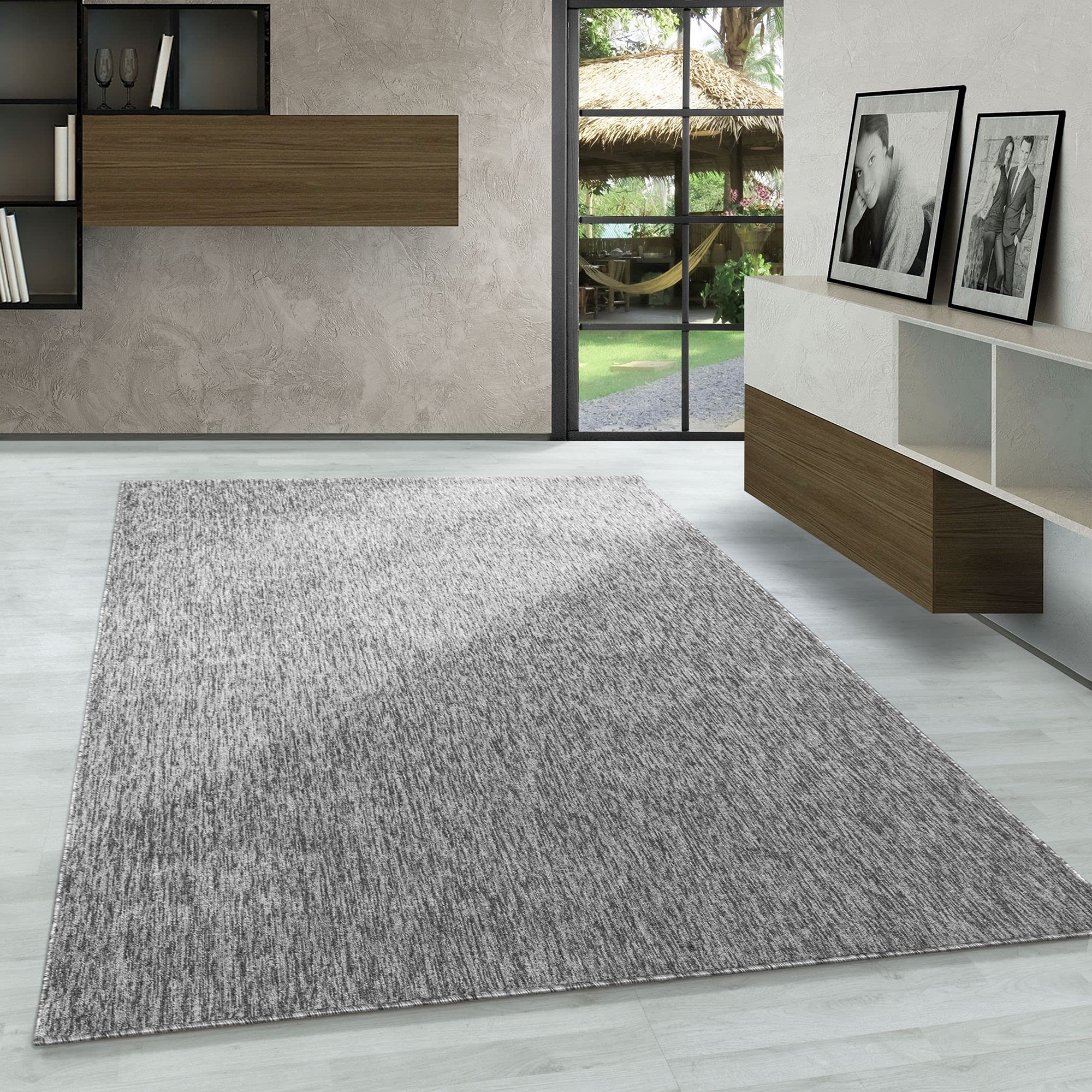 Alfombra Salon de Pelo Corto 200x300 (200 x 290 cm) Gris Claro - Alfombras de Habitacion Diseño Monocolor Sala de Extrasuave - Moderna Alfombra Dormitorio, Alfombra Cocina, Tapete Sala