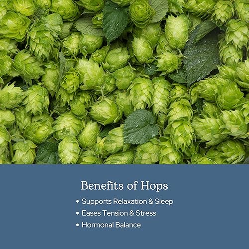 Miniatura 4 de Eclectic Herb - Cápsulas de lúpulo | Relajación natural y apoyo para dormir | Apoyo antioxidante | Suplemento de hierbas | Vegano, sin OMG, sin