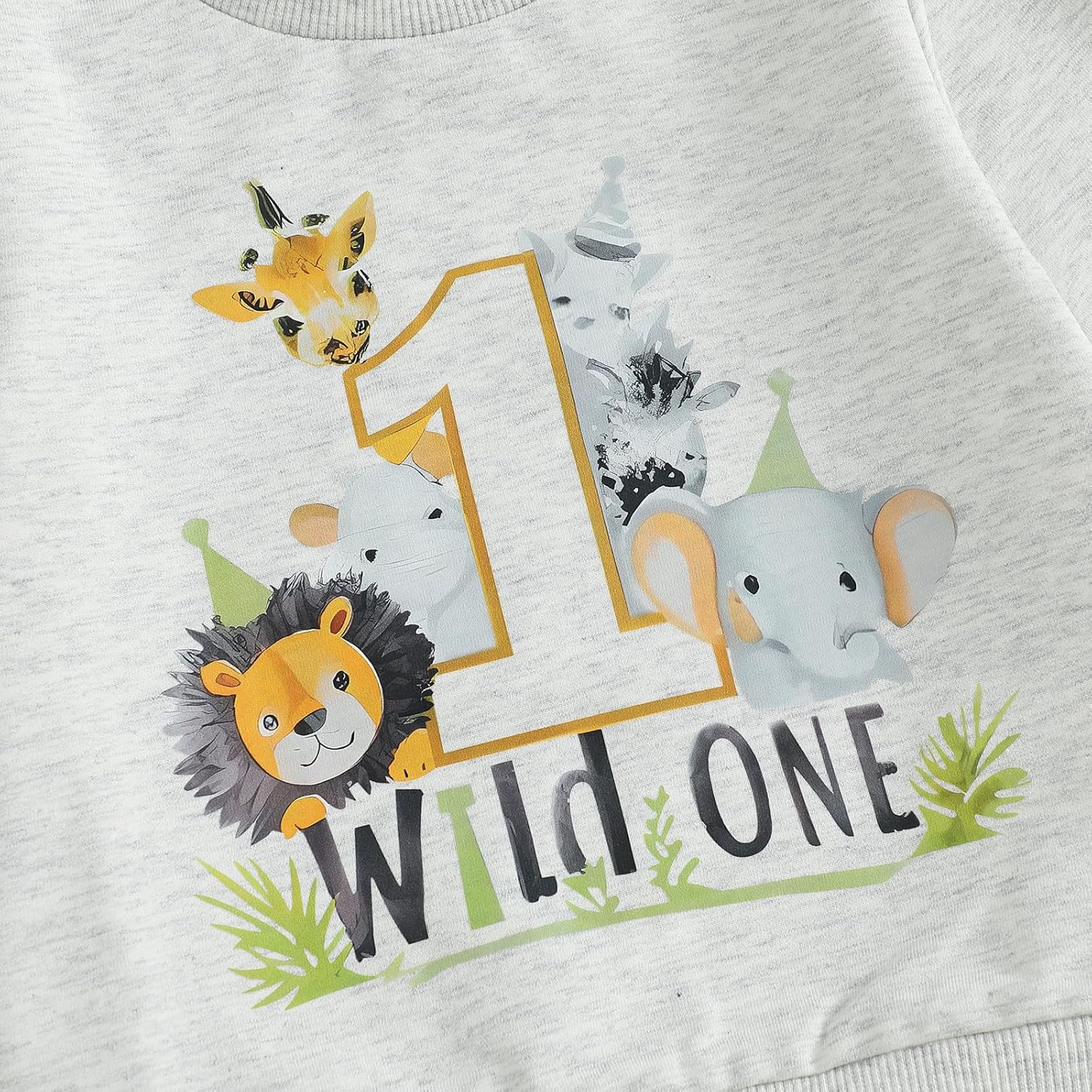 WZTYYDS Baby Boy First Birthday Outfit Long Sleeve Sweatshirt Tops Wild One Birthday Shirt Pants Set Fall Clothes - Image 5