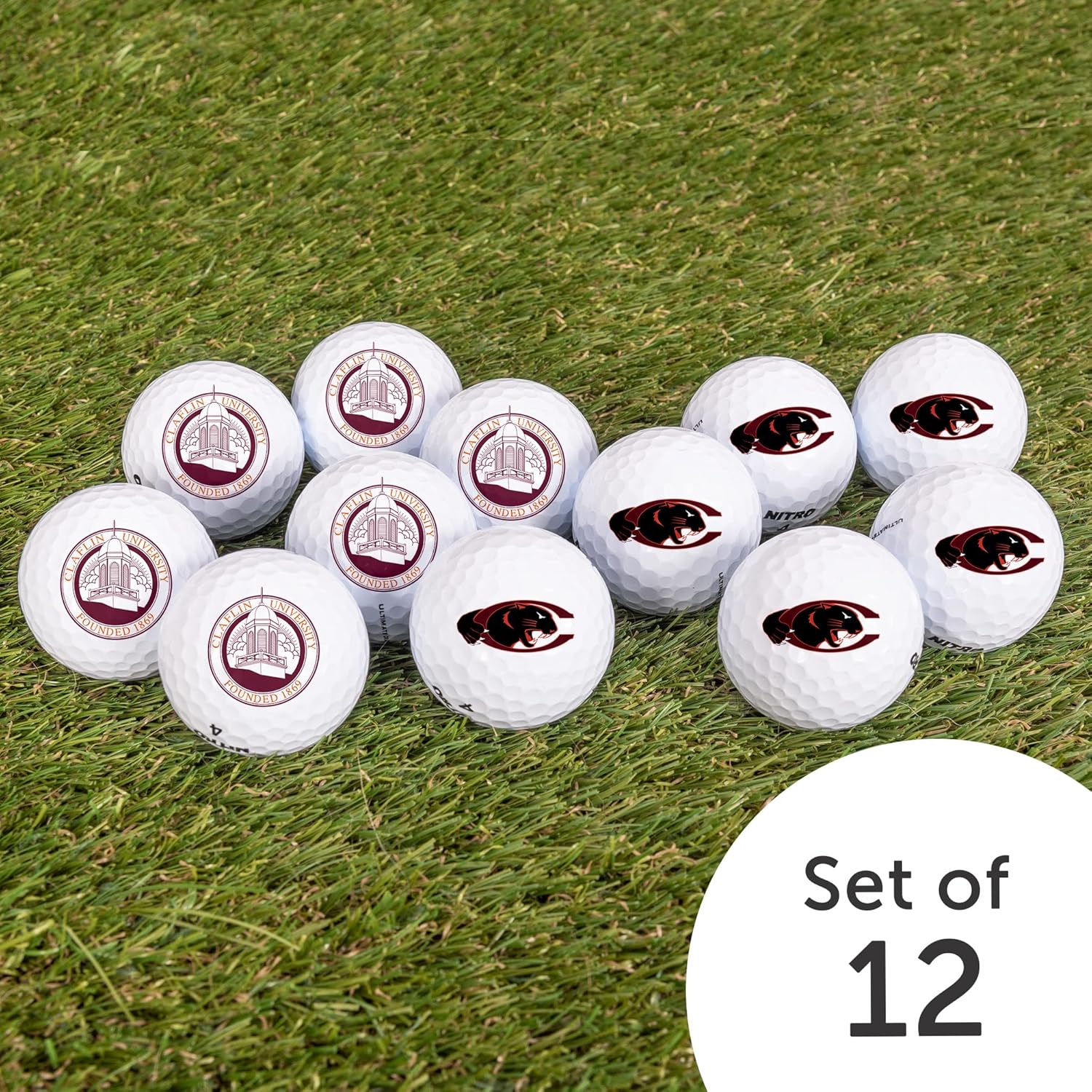 Desert Cactus Claflin University Golf Balls 12 Pack – CU Panthers Full Color Dozen – Officially Licensed Sport Team Accessory