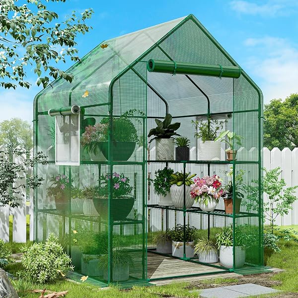 SPECILITE Walk in Green House with Window and Anchor, Plant Garden Hot House