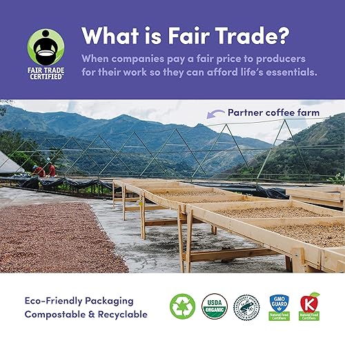 Miniatura 3 de Bean & Bean Downtown - Mezcla de café en grano entero orgánico, cremoso, limpio y suave, de comercio justo, café espresso ideal, tostado medio en