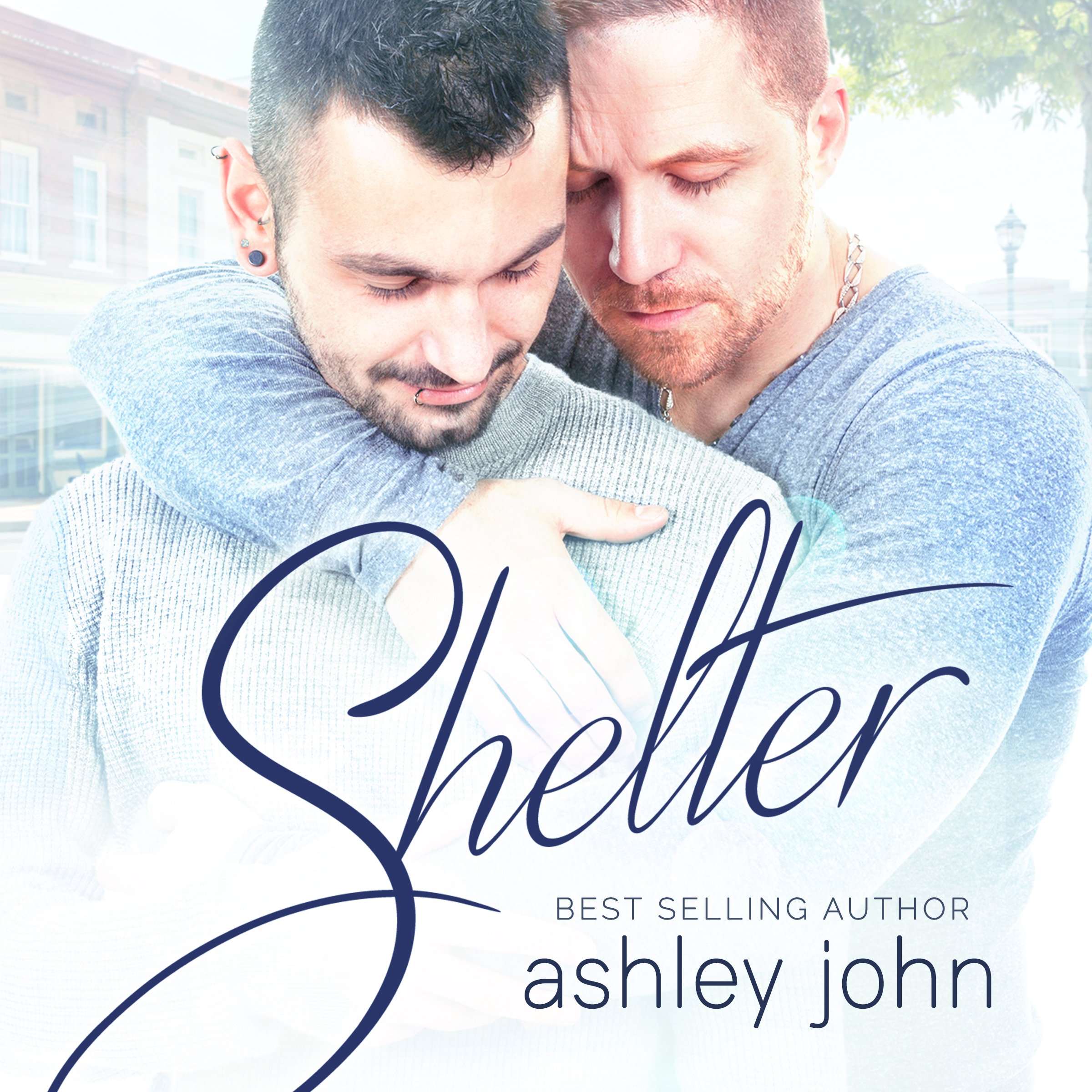 Cover art for Shelter