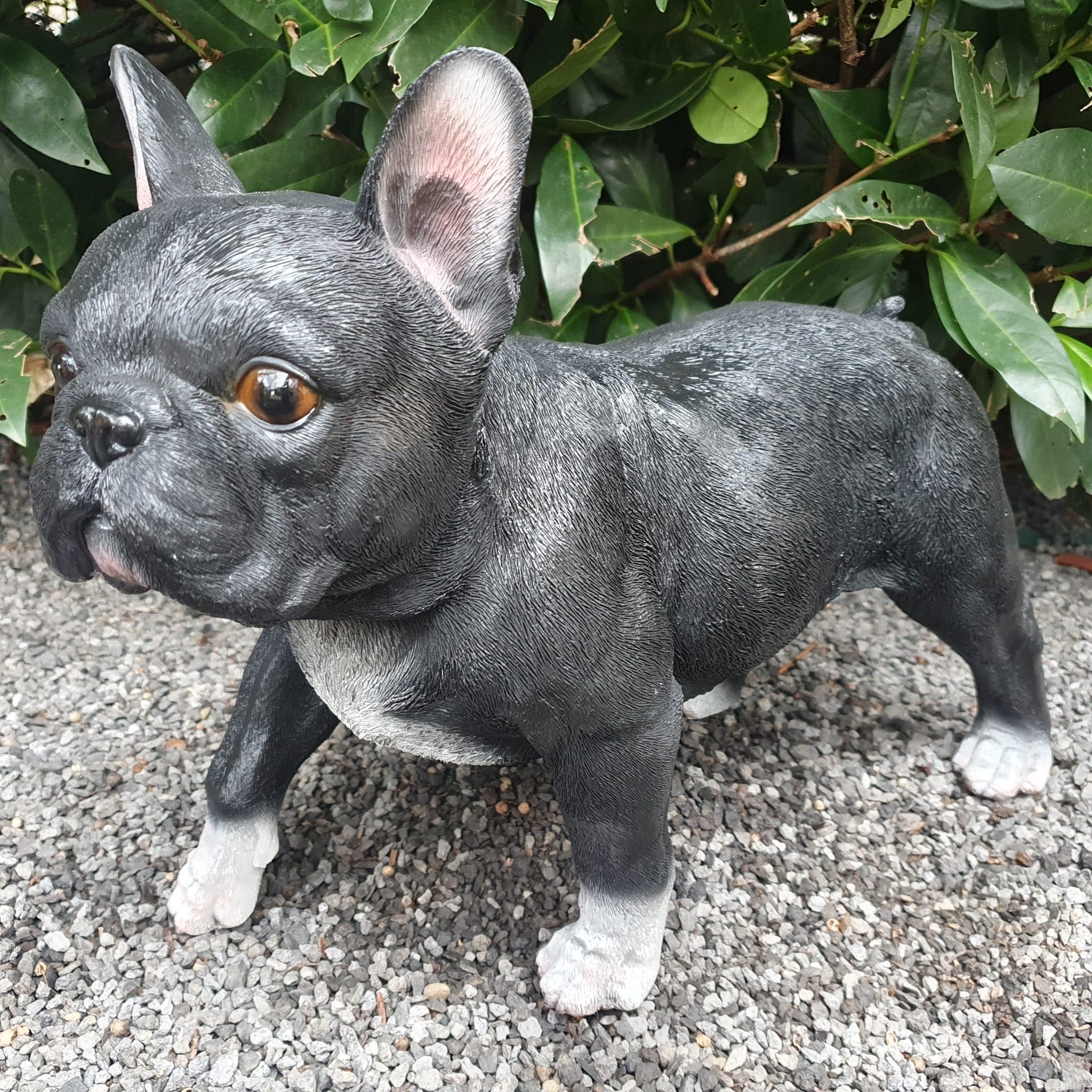 Figurka ogrodowa, buldog francuski, 29 cm, figurka ogrodowa, odporna na warunki atmosferyczne, dekoracja do salonu, figurka psa