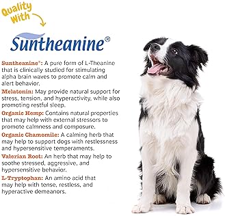 dog sleeping pills for traveling