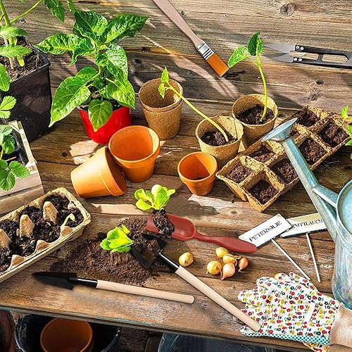 Miniatura 6 de Juego de 13 mini herramientas de plantación de jardín, kit de herramientas de suculentas, herramientas de mano para plantar bonsái de jardín en