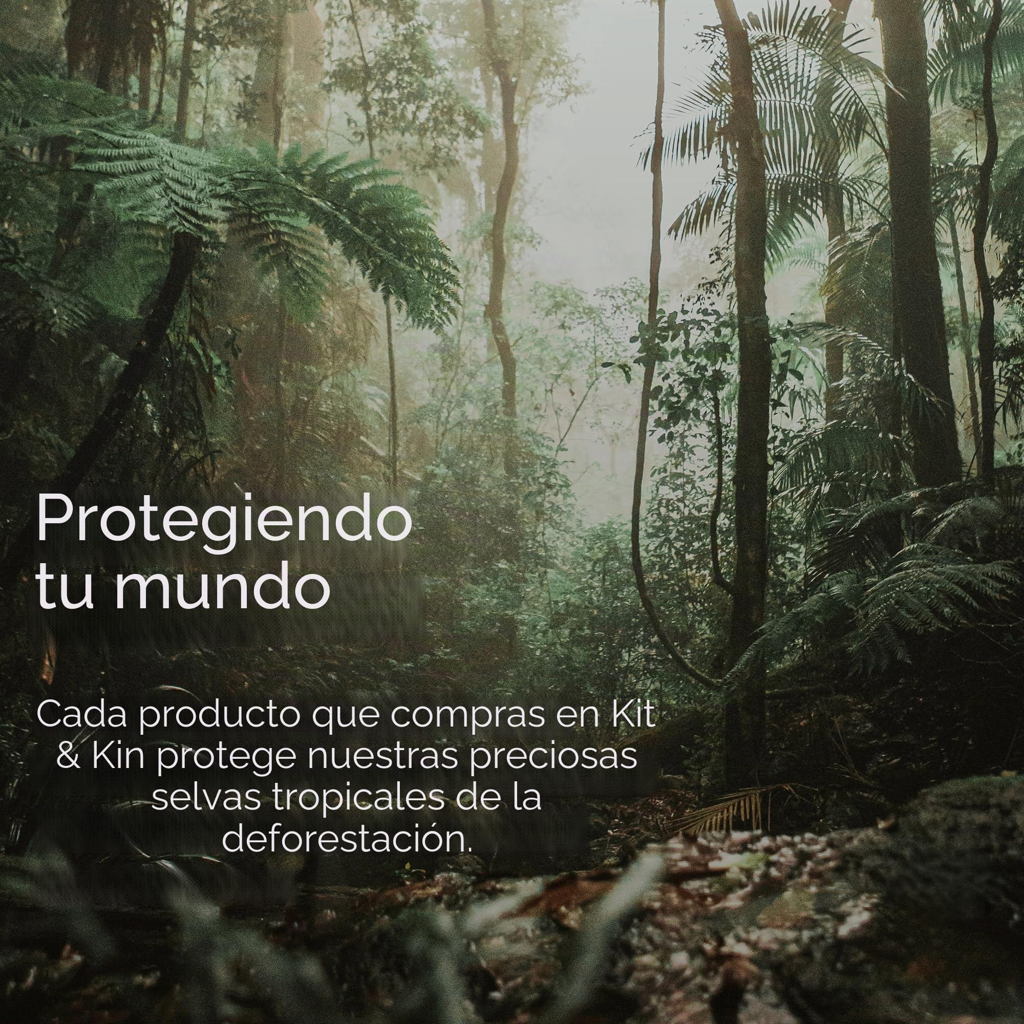 Kit & Kin Pañales ecológicos y sostenibles, talla 5, hipoalergénicos, con capa de secado rápido, veganos y sin cloro, protección superior contra fugas, 120 pañales | Materiales a base de plantas en la piel del bebé, hipoalergénicos, protección superior co