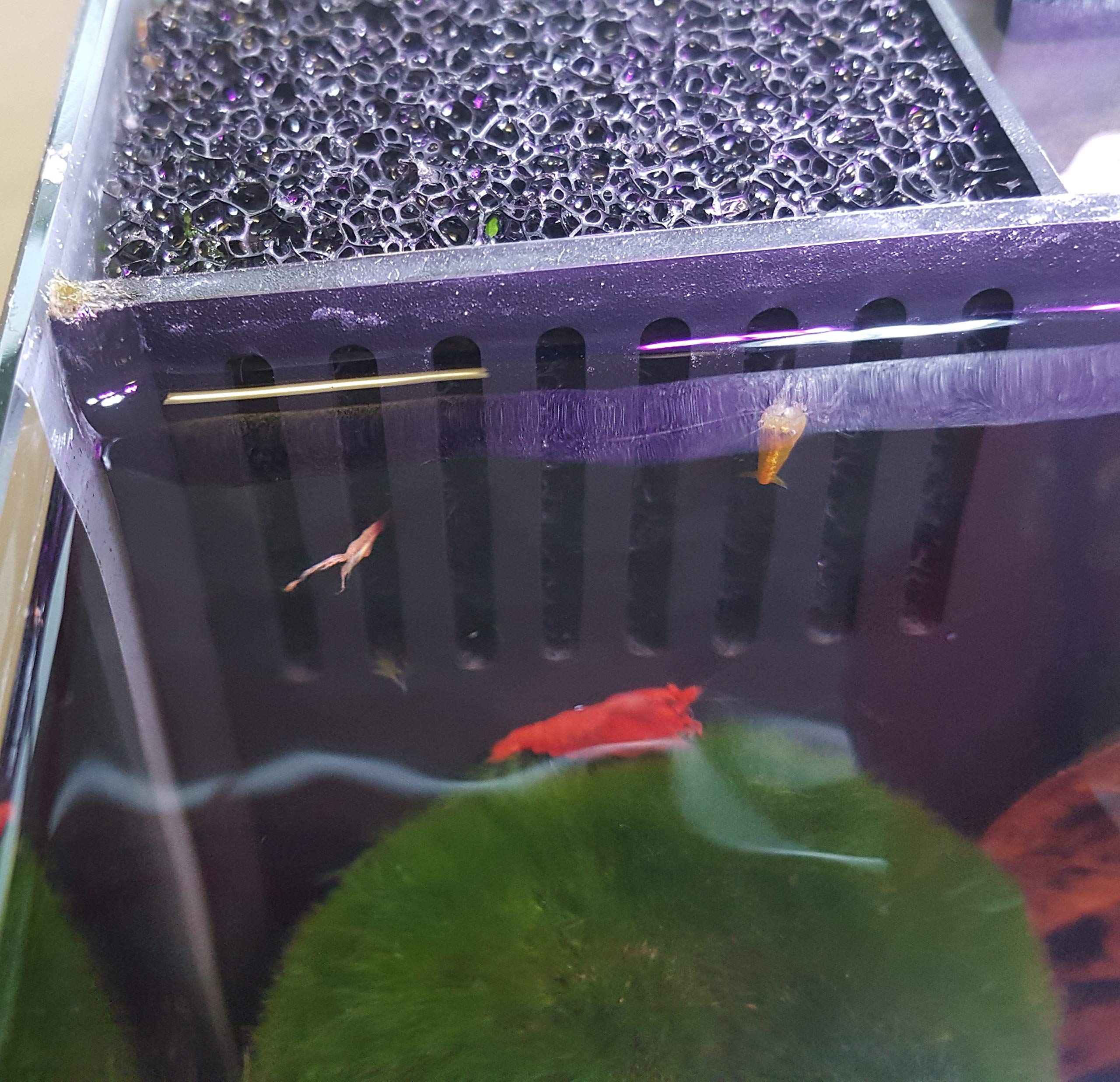 sera, Acquario Completo con Illuminazione Biotop Nano, 16 luci a LED Cube, capacità 16 l di Acqua Dolce, 3 filtri Interni con Camera