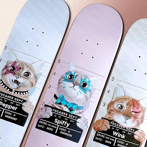 Miniatura 8 de Yocaher Patinetas de 31 x 775 pulgadas o 825 pulgadas o patineta Cruiser con tabla de patinaje de arce canadiense profesional ABEC-9 rodamiento de