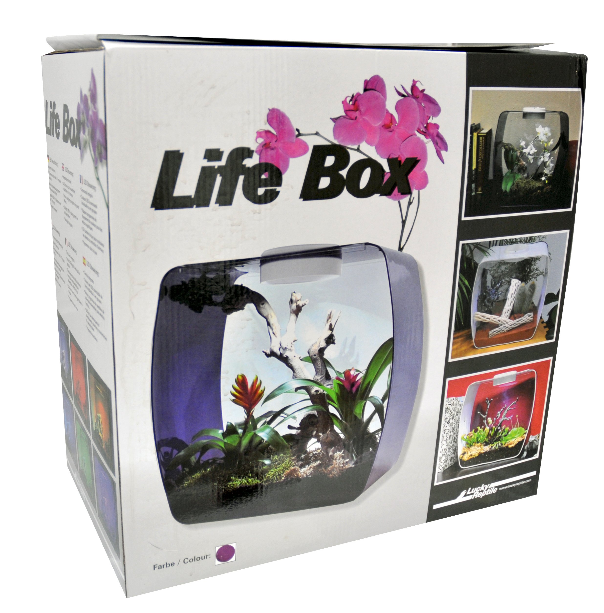 Life Box Terrarium Design en verre haut de gamme pour l'habitat