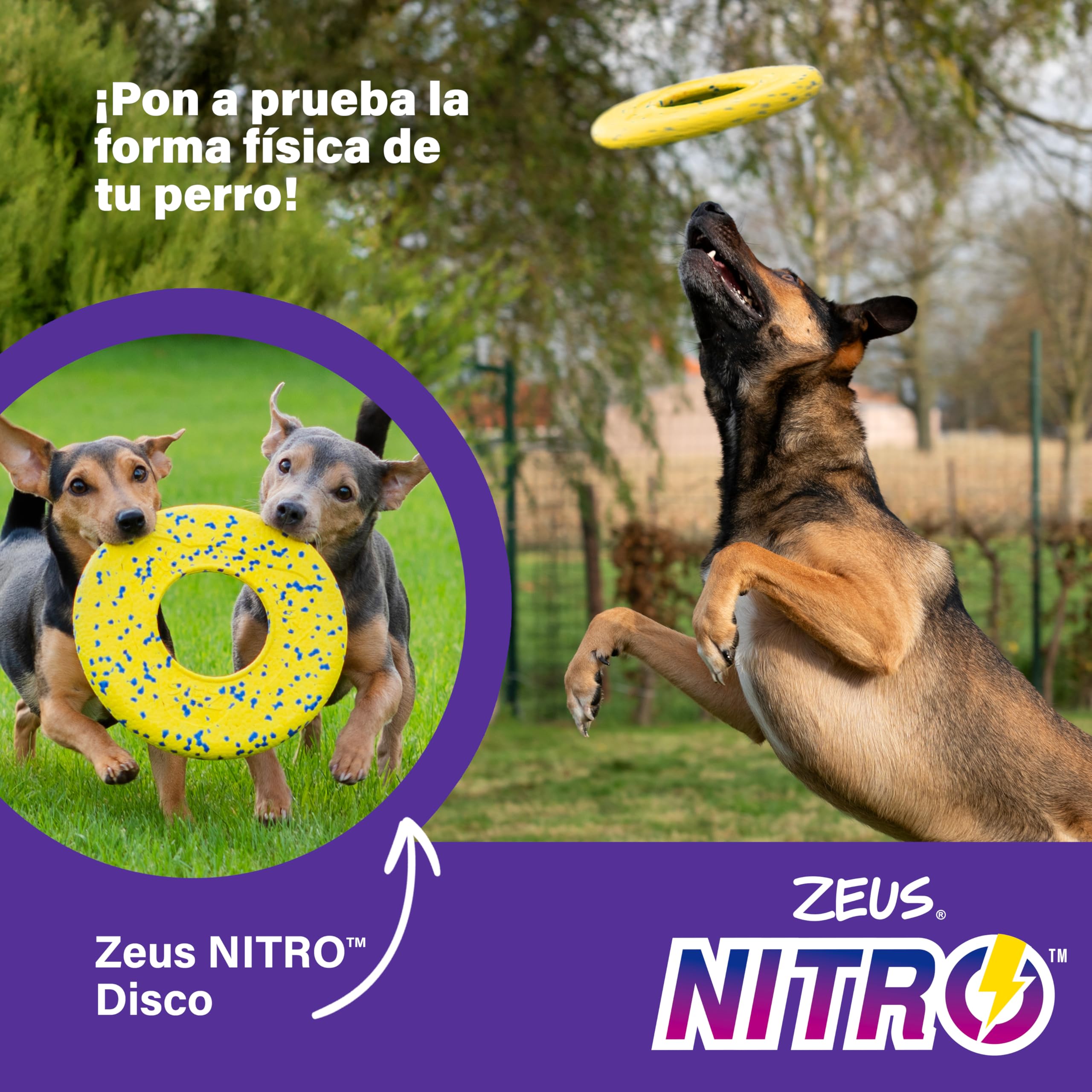 Zeus Disco Ligero y Resistente para Perros Nitro, 24 cm diámetro