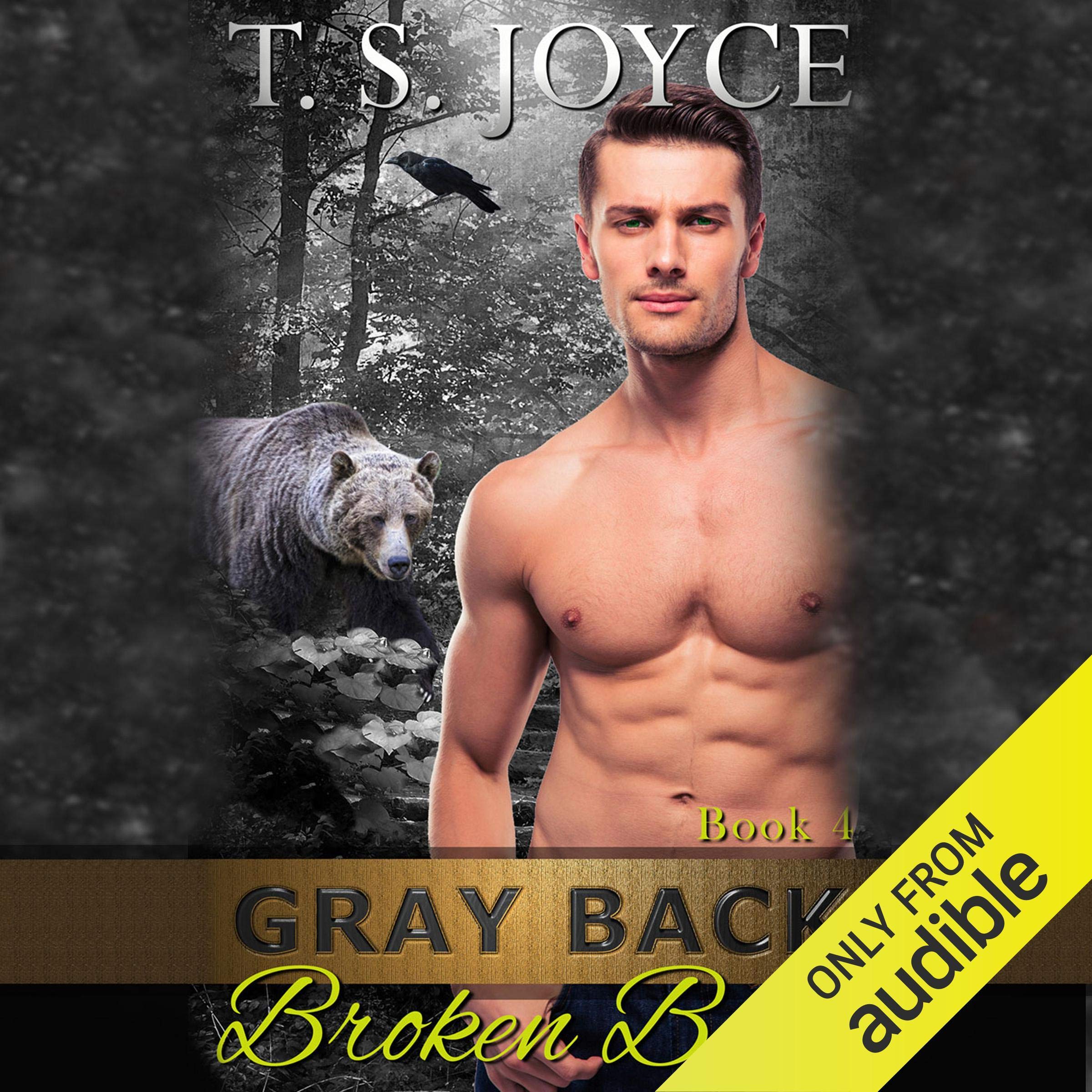 Cover art for Gray Back Broken Bear