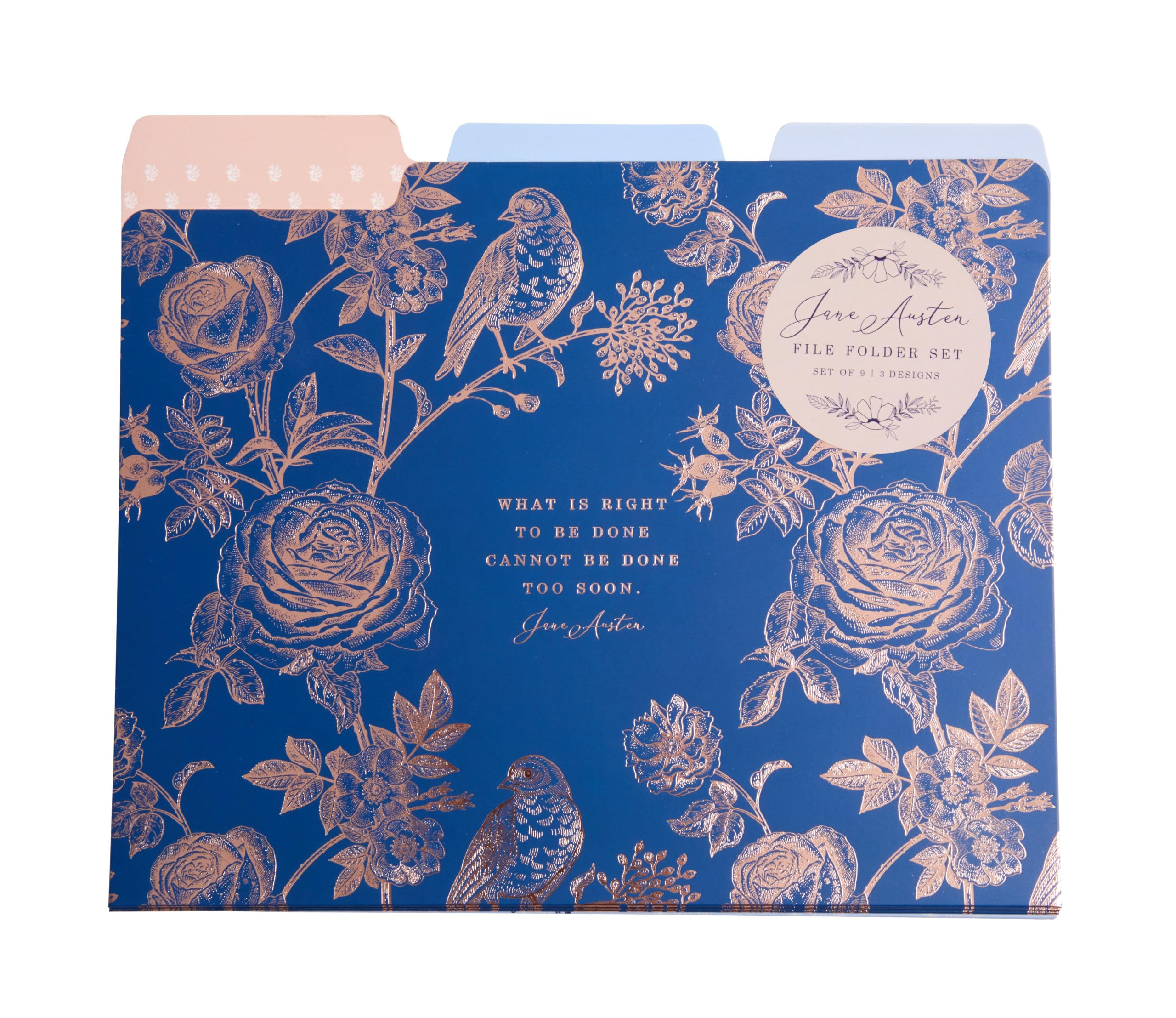 Jane Austen: File Folder Set (Set of 9) by Insight Editions (Other printed item)