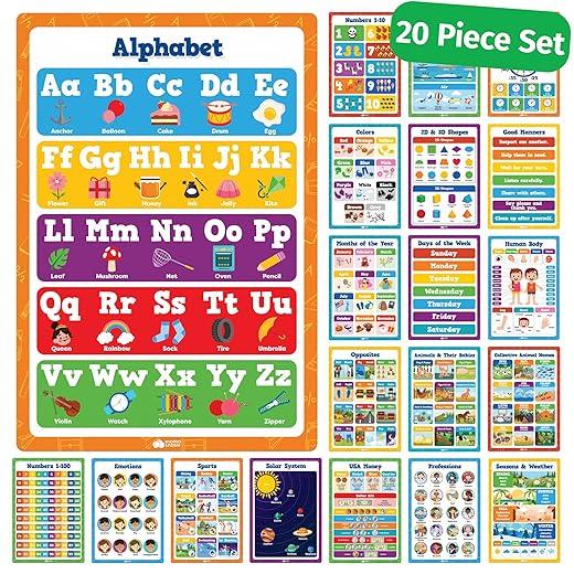 20pc Classroom Posters 16x11 Educational Set