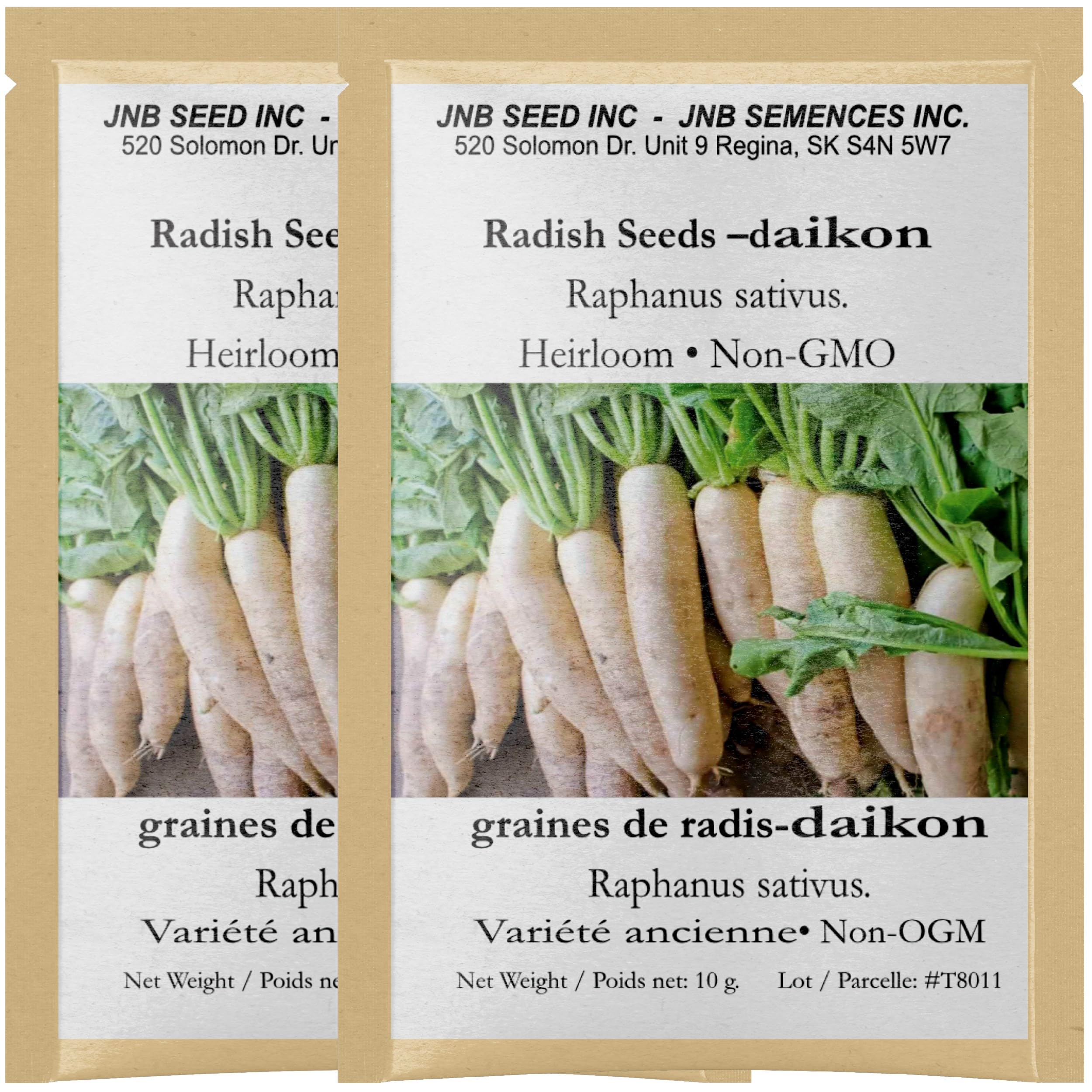 Daikon Minowase Japanese (Daikon) Radish Seeds (Approx. 1200 Seeds-20