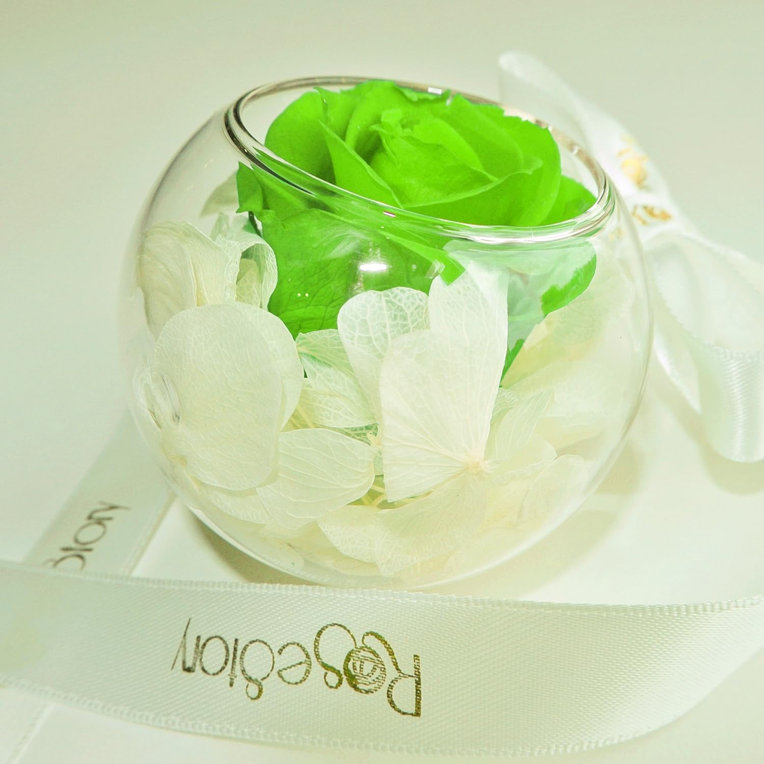 RoseStory|Preserved Green Rose Terrarium|Glass Hangning Terrarium Kit