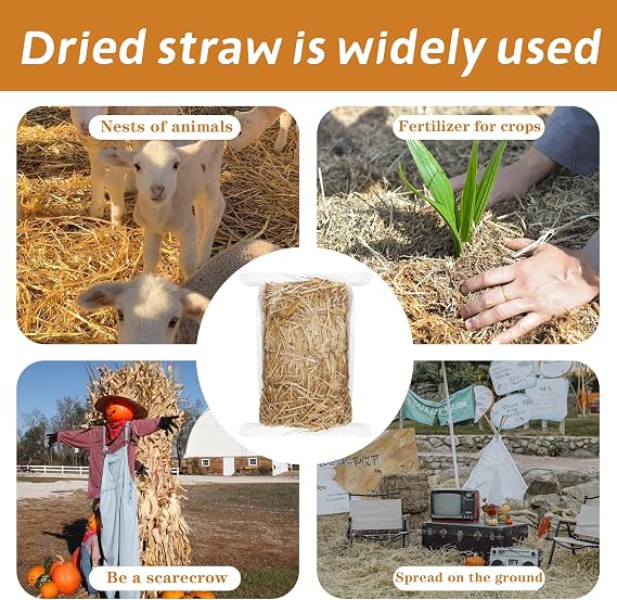 WNJ Natural Wheat Straw - 1 LB Dry Straw, Soft 100% Natural Straw Bale for Animal Bedding, Garden Mulch, Compost & Stray Cats Dogs Poultry, and Grass Cover