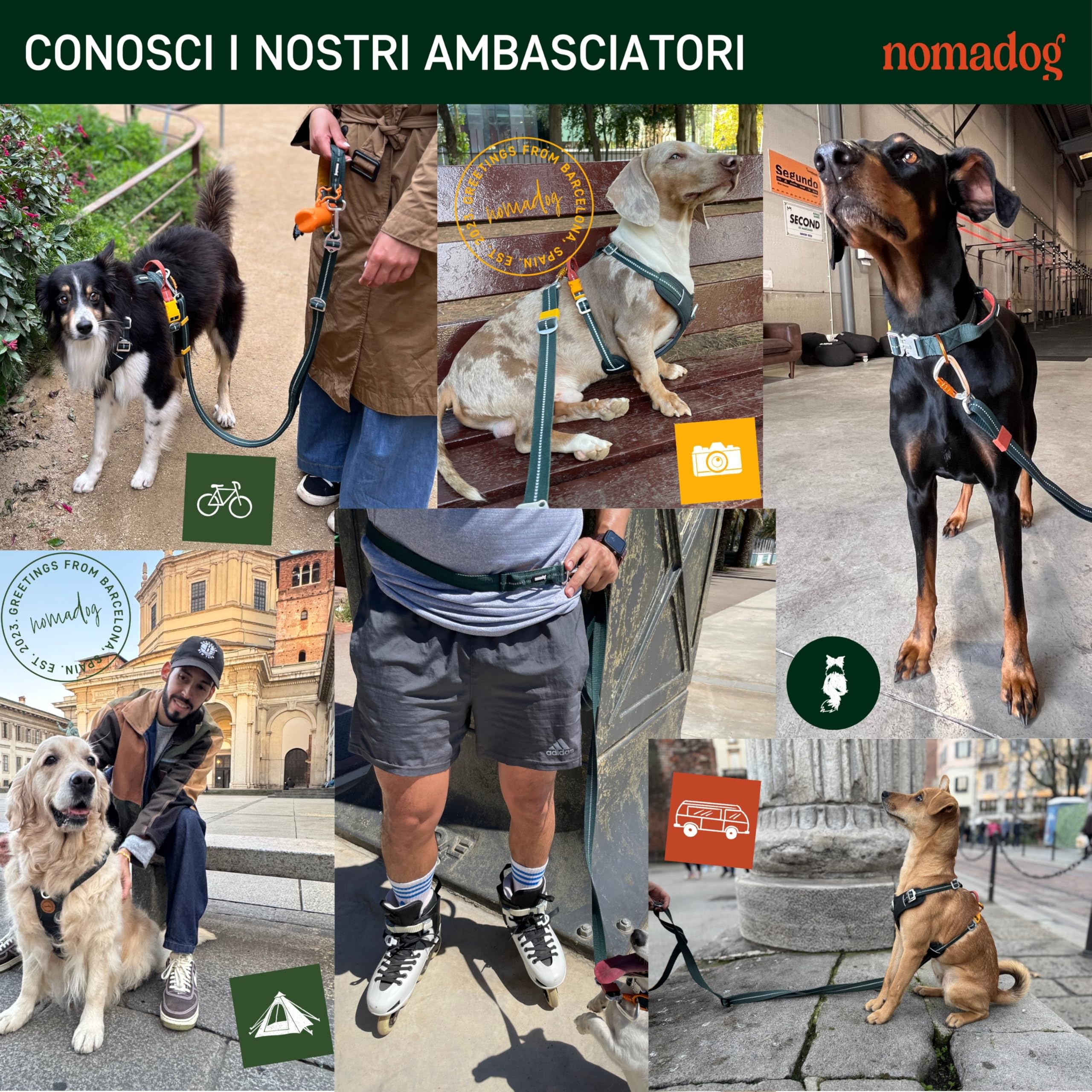 Nomadog Trailblazer Guinzaglio per Cani Multifunzionale 6-in-1 - Guinzaglio Doppio Moschettone Girevole a 360° in Alluminio, Regolabile 1,4-2,4 m, Riflettente - Ideale per Escursioni